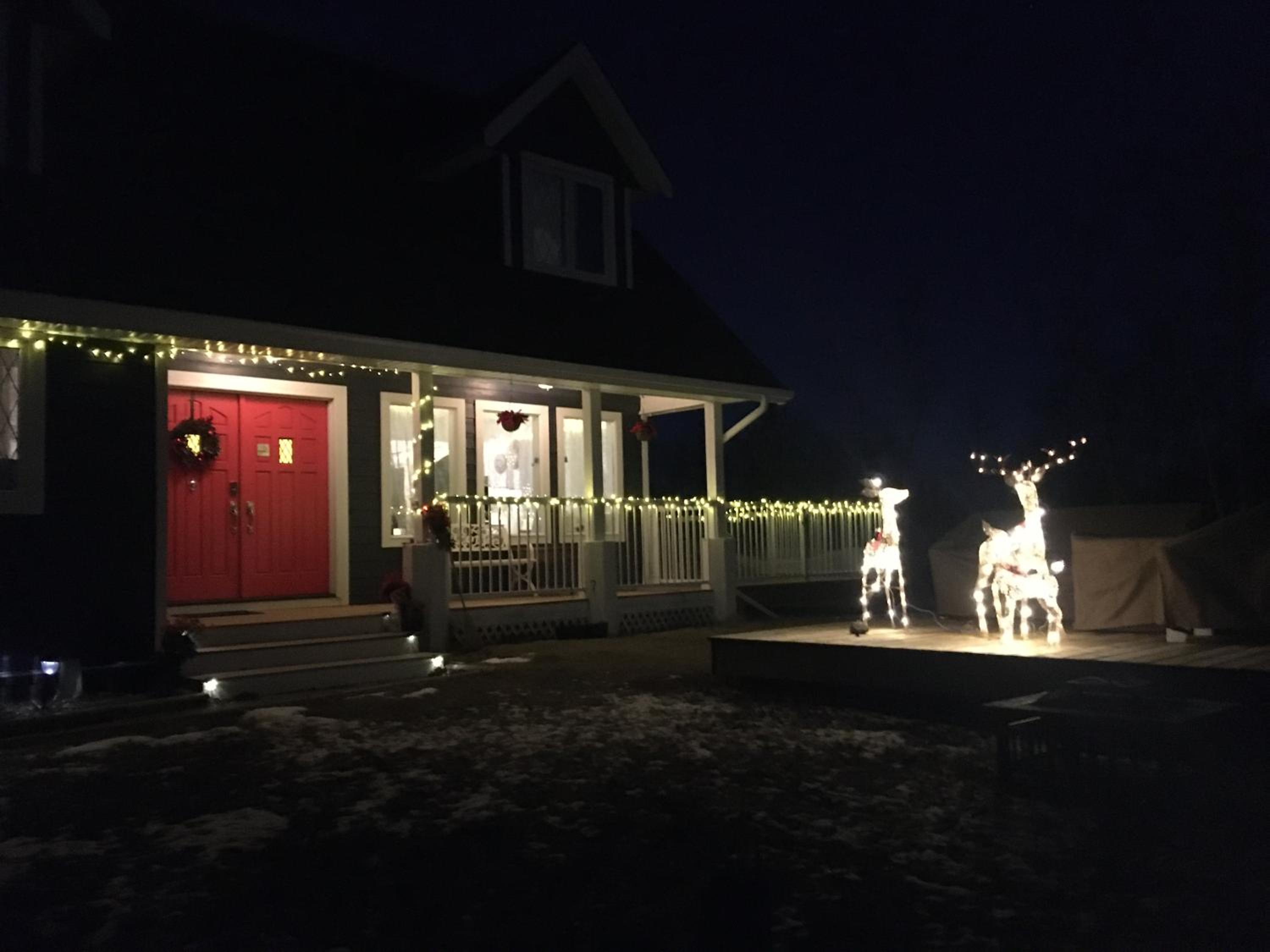 The Blue Cottage B&B