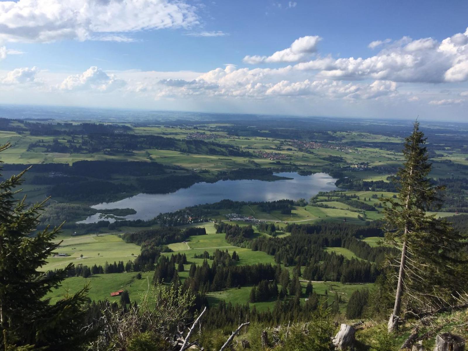 4-Sterne Tiny House & erholsame Ruhe und ganz viel Natur im Oberallgäu