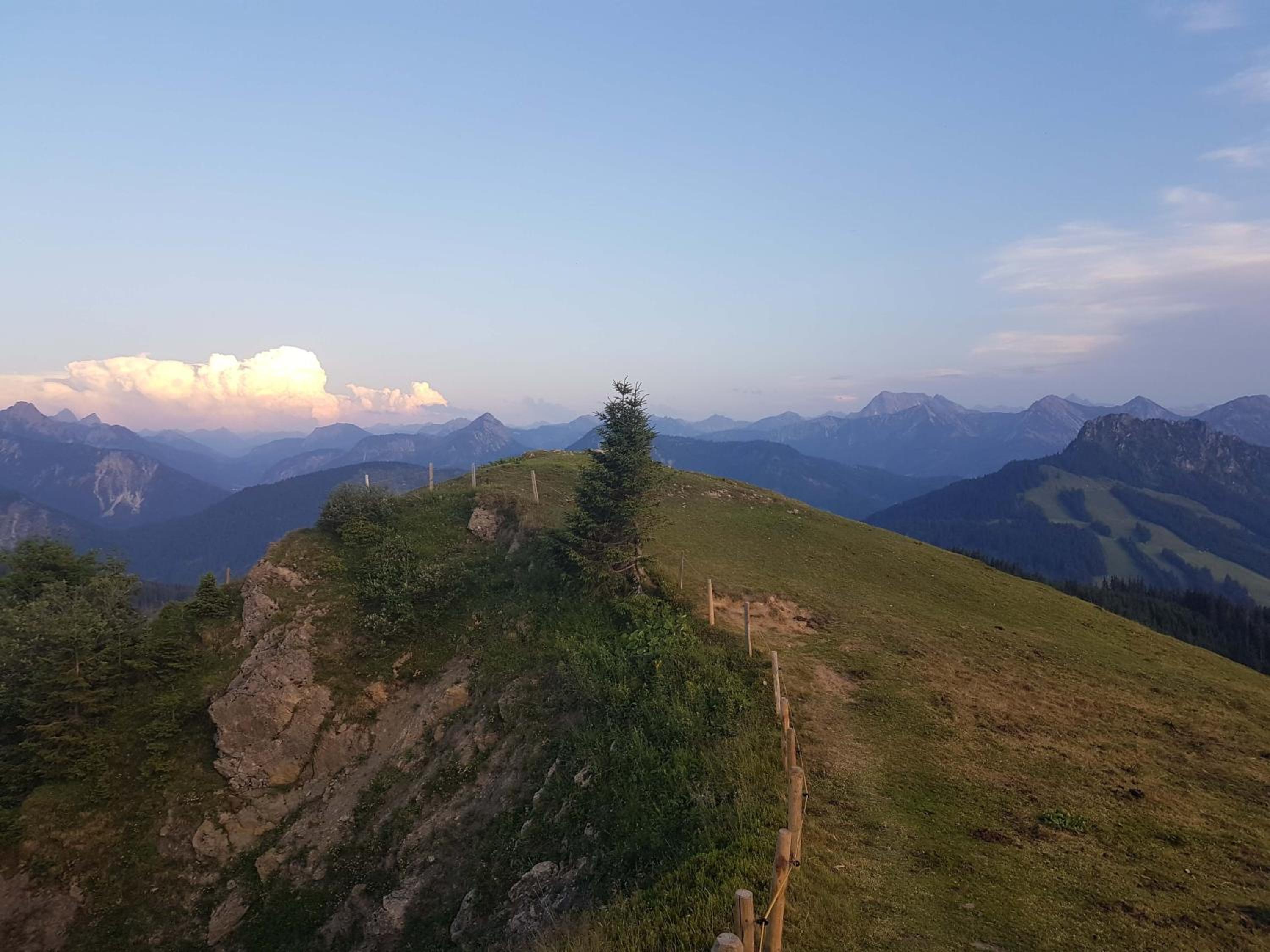 4-Sterne Tiny House & erholsame Ruhe und ganz viel Natur im Oberallgäu