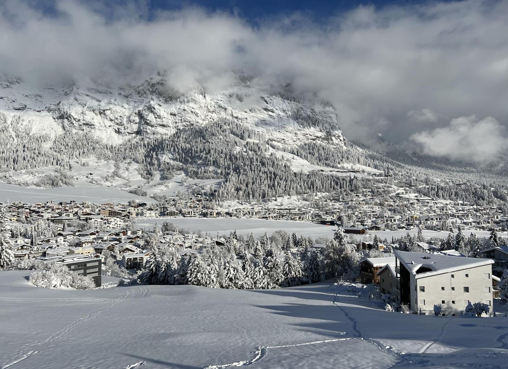 the NEST flims