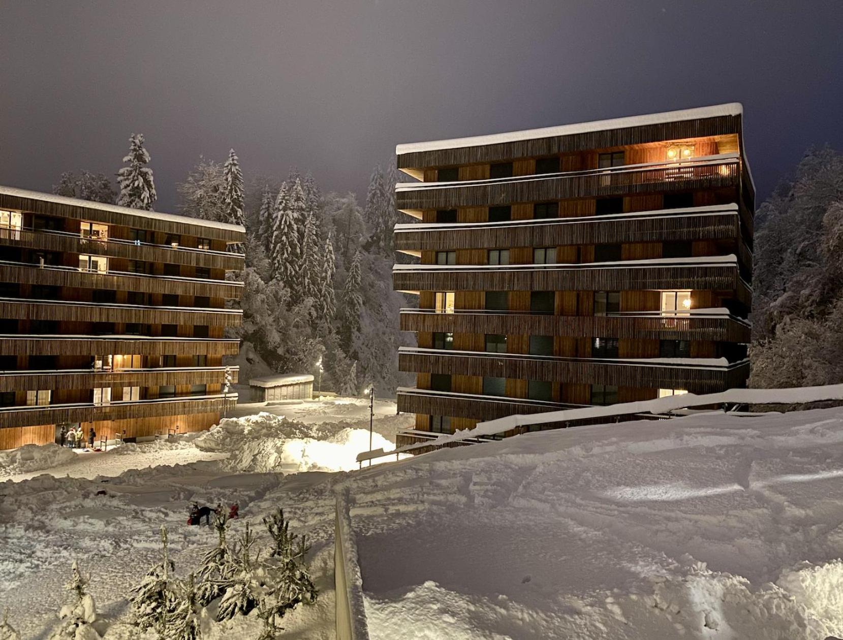 the NEST flims