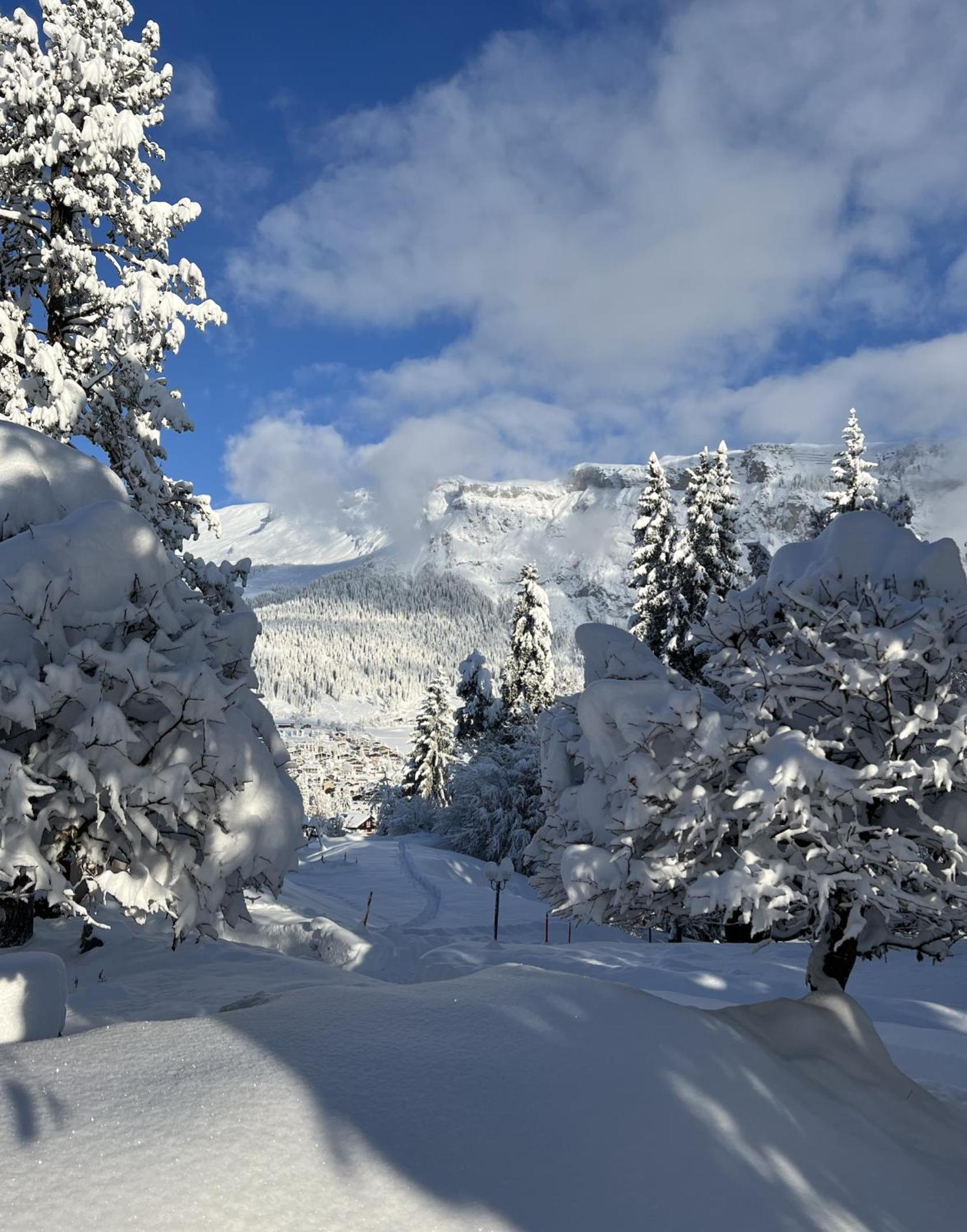the NEST flims