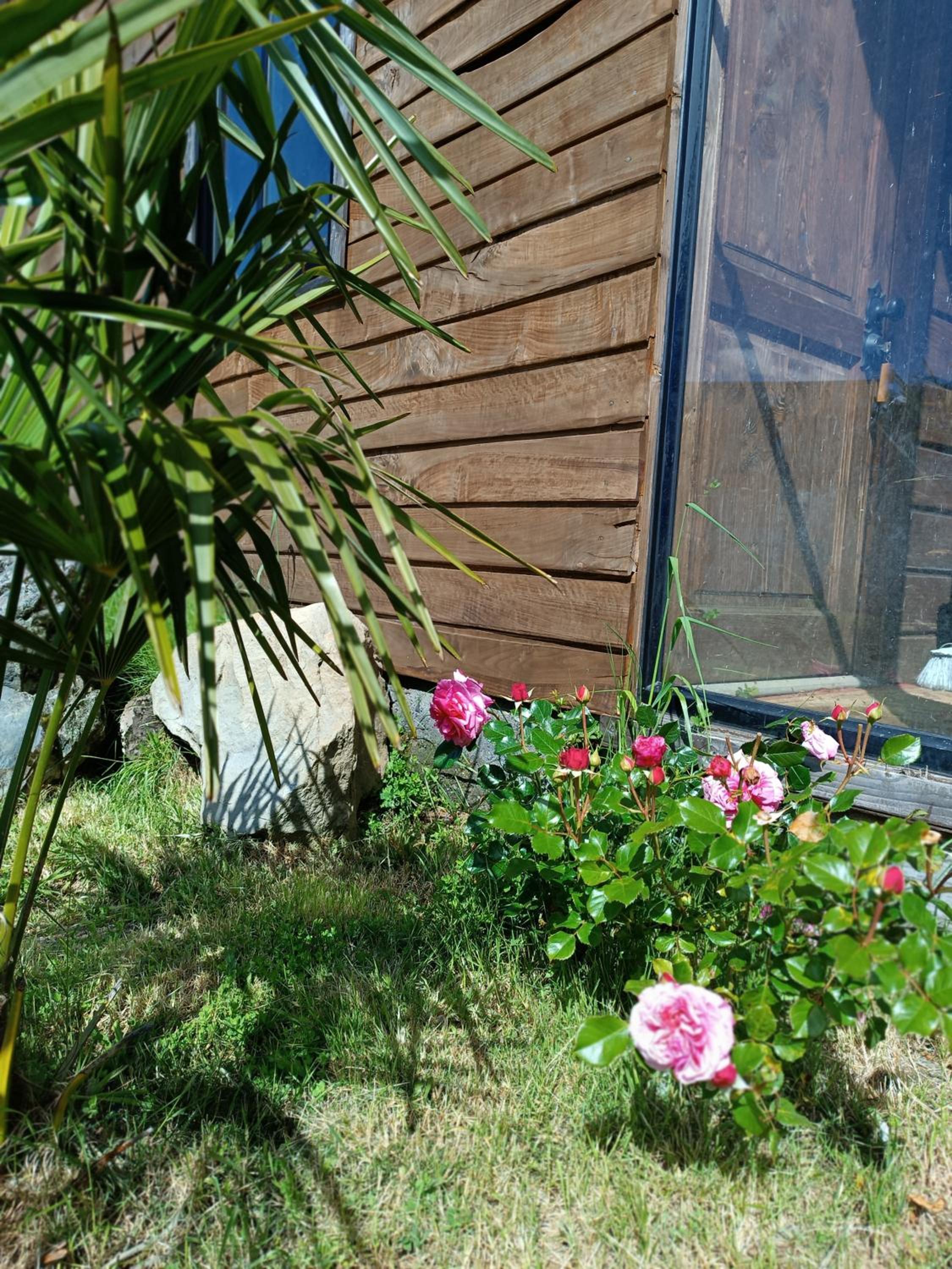 Calafquén Coñaripe Cabañas