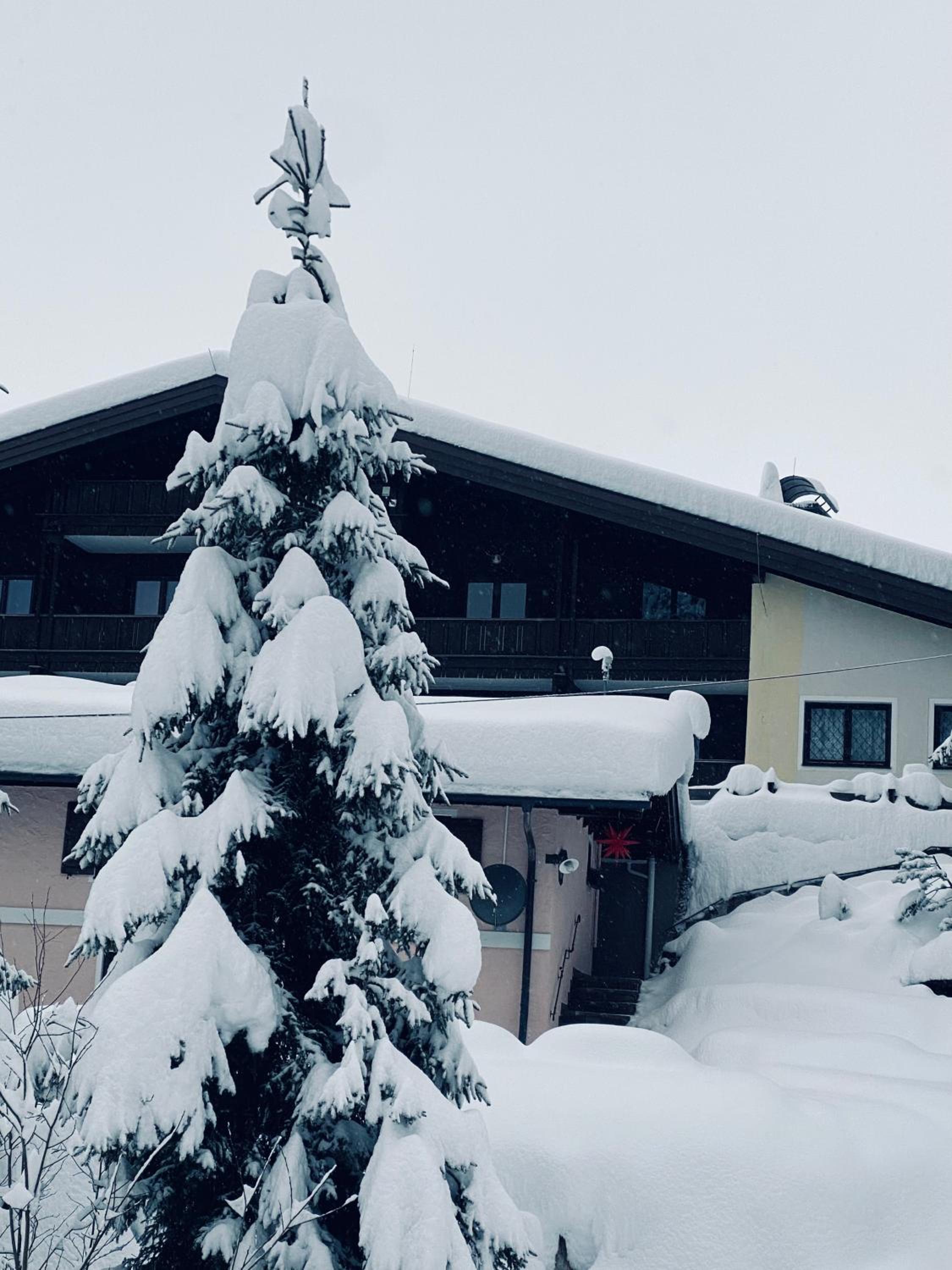 Appartementhaus Hochkönig - Panoramablick