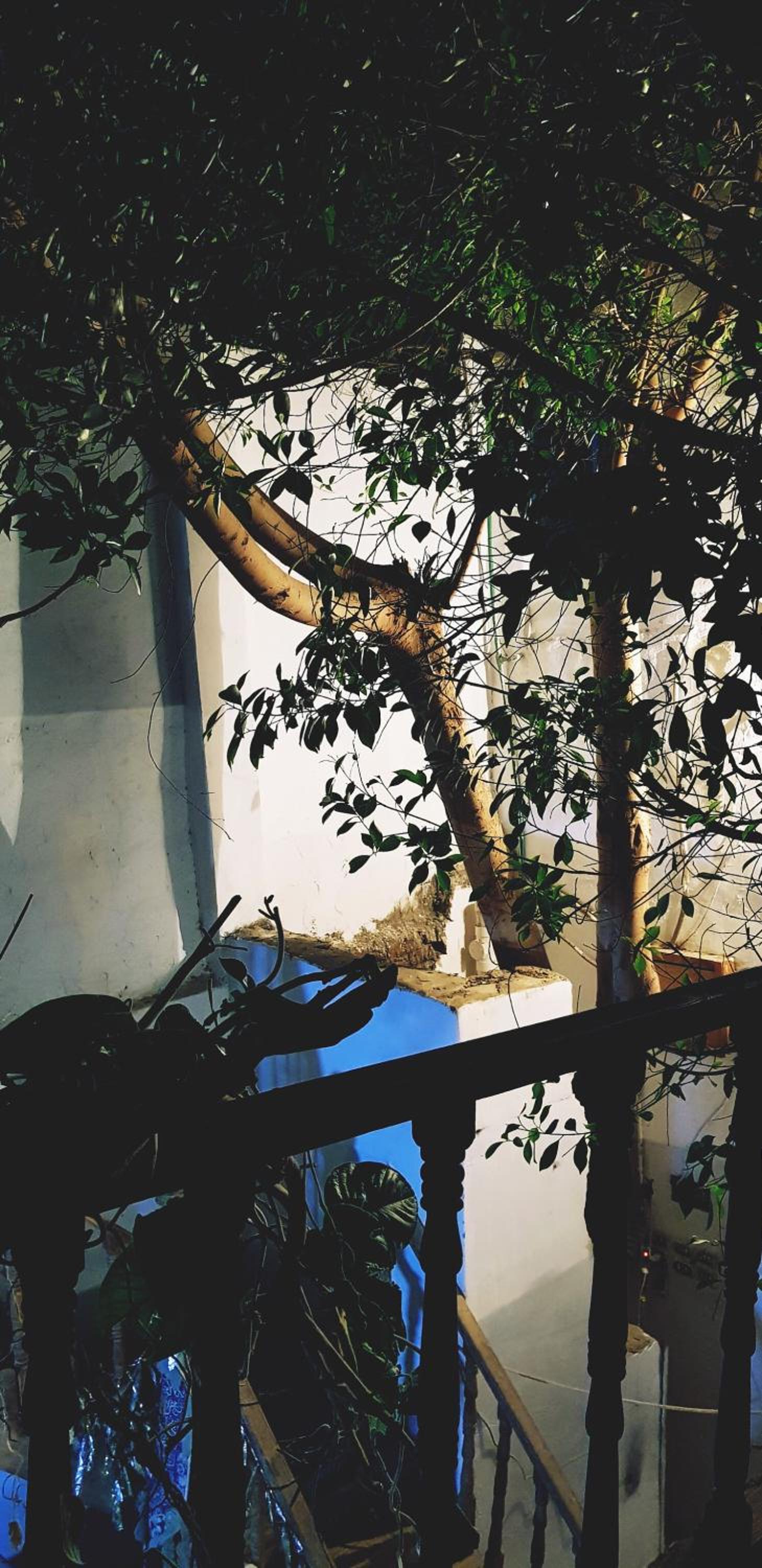 HabuHeritageHomeStayInLuxor