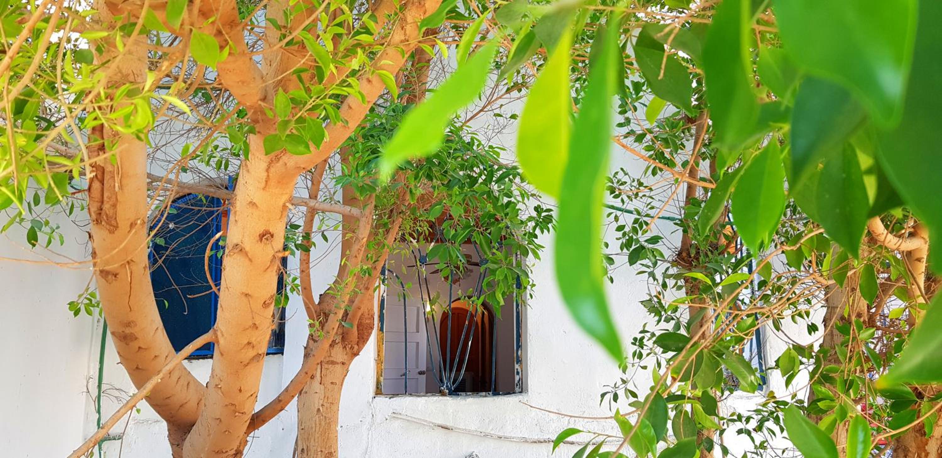 HabuHeritageHomeStayInLuxor