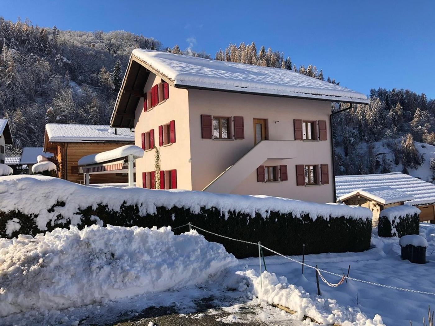 Perfect Mountain Condo - 4 Valleys - Swiss Alps