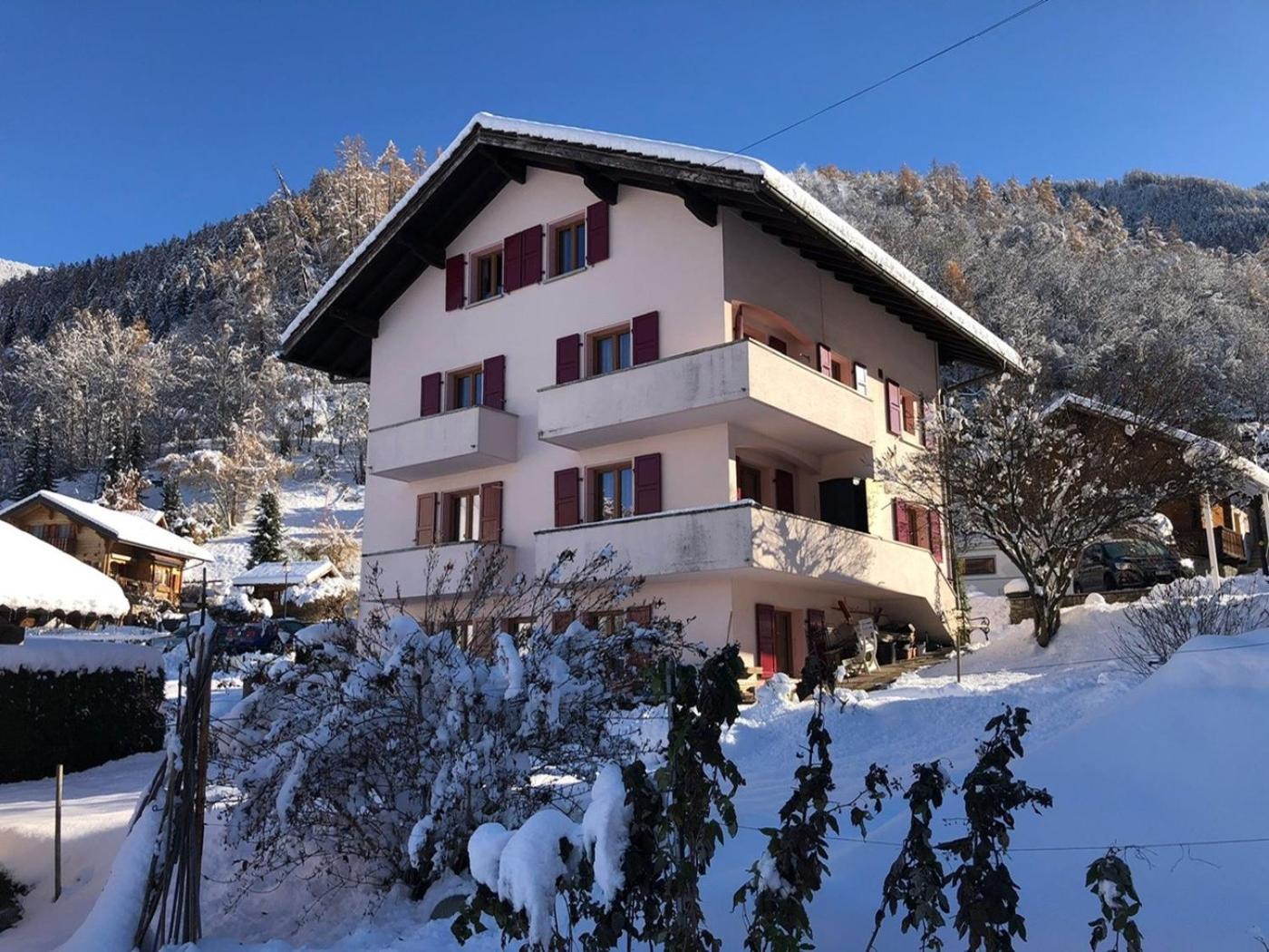 Perfect Mountain Condo - 4 Valleys - Swiss Alps