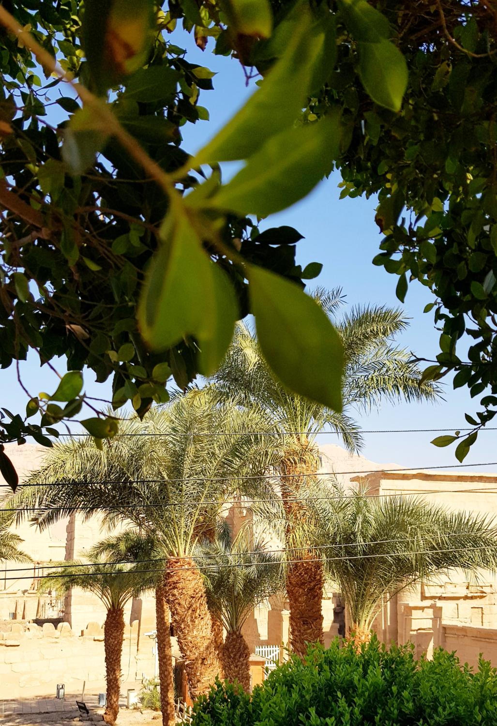 HabuHeritageHomeStayInLuxor