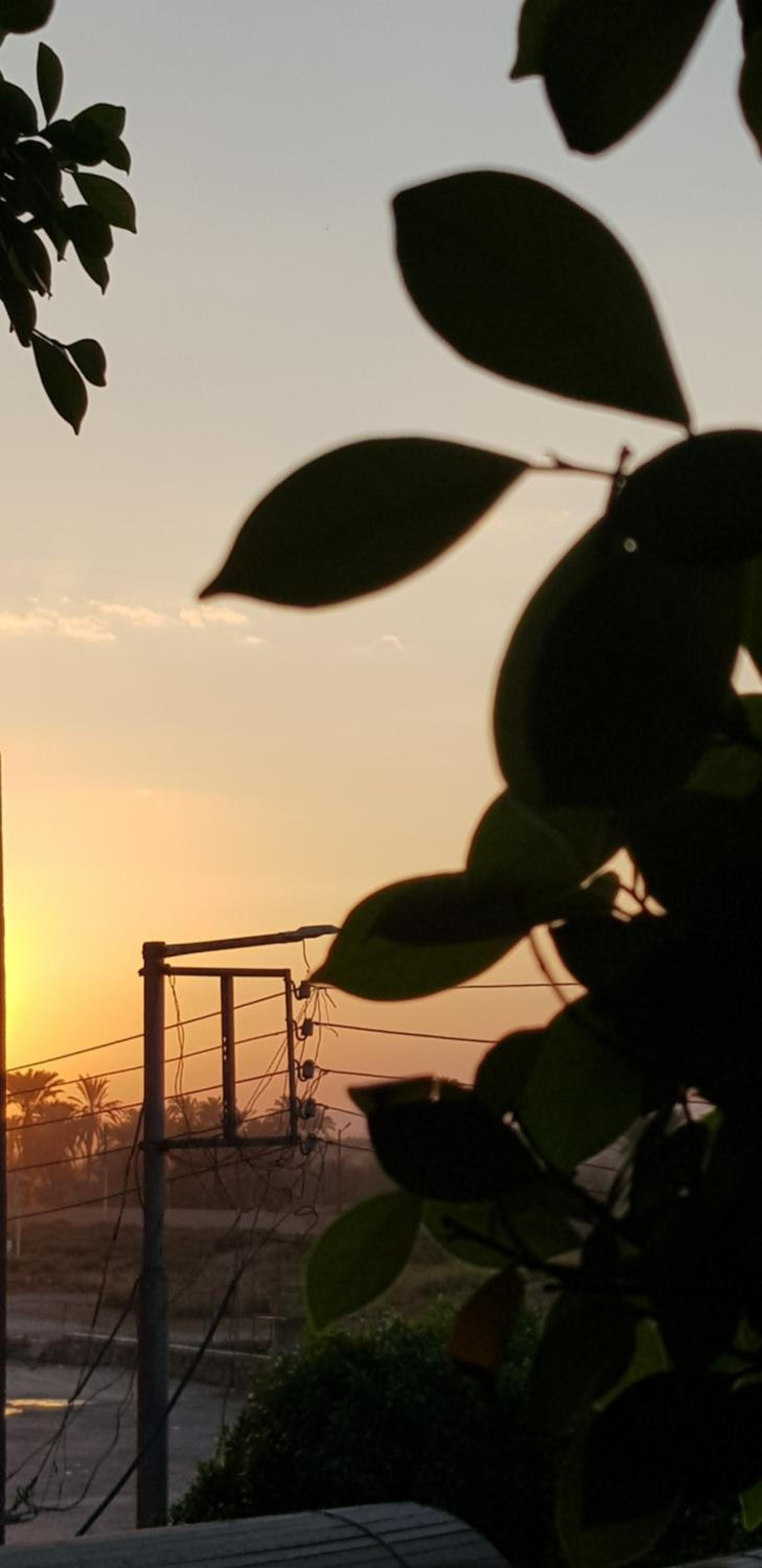 HabuHeritageHomeStayInLuxor