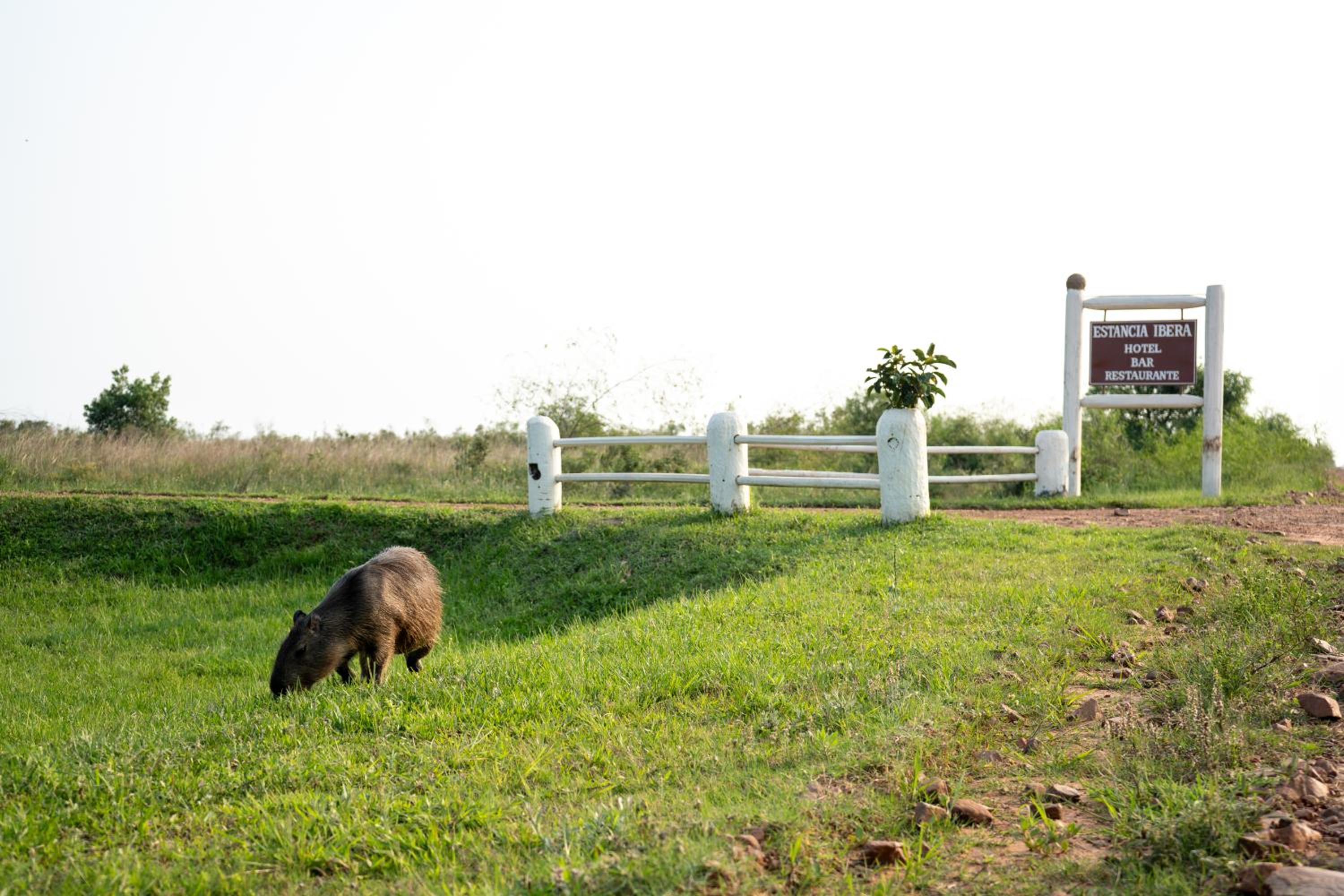 Estancia Iberá