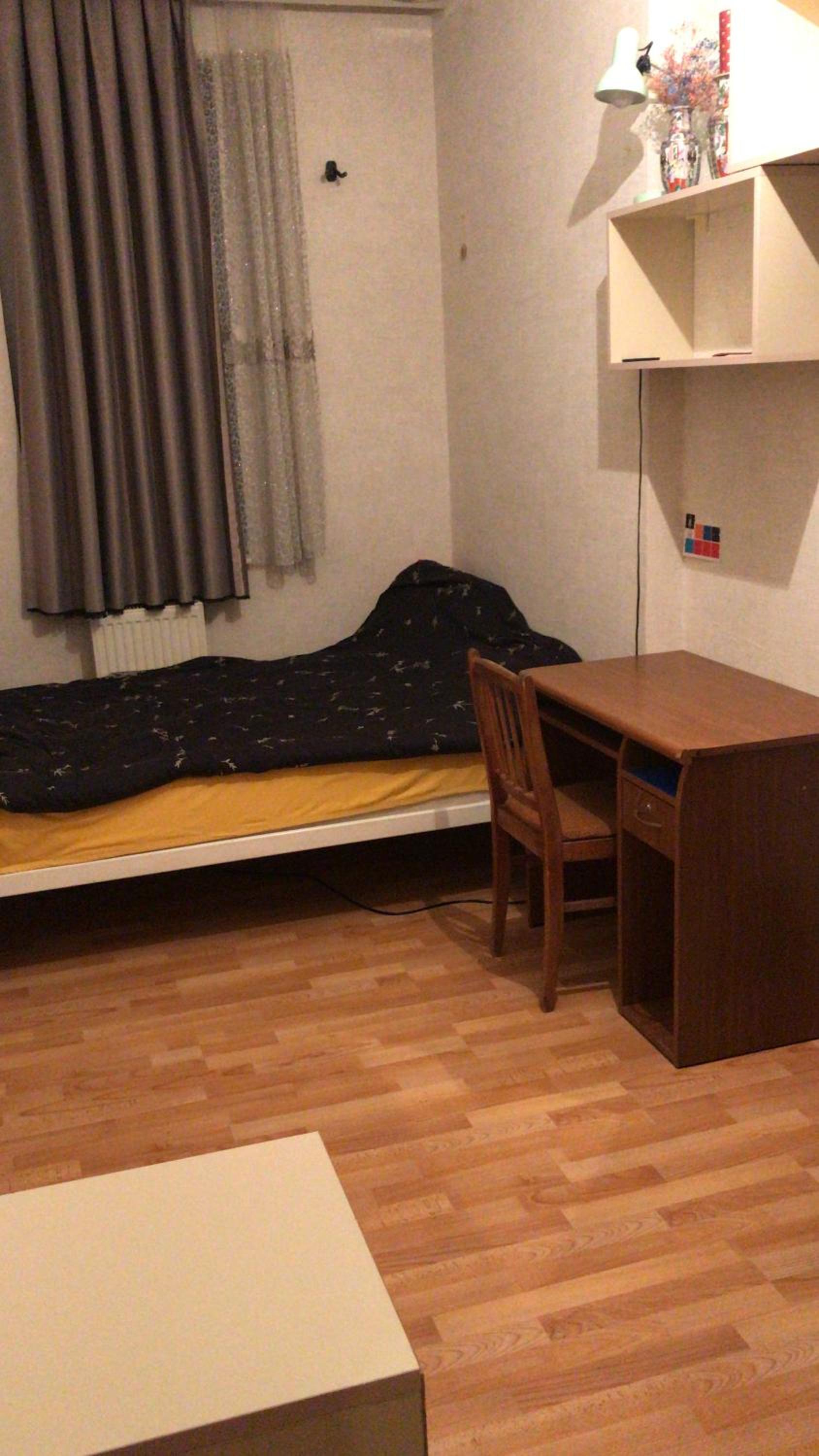 Photo 8