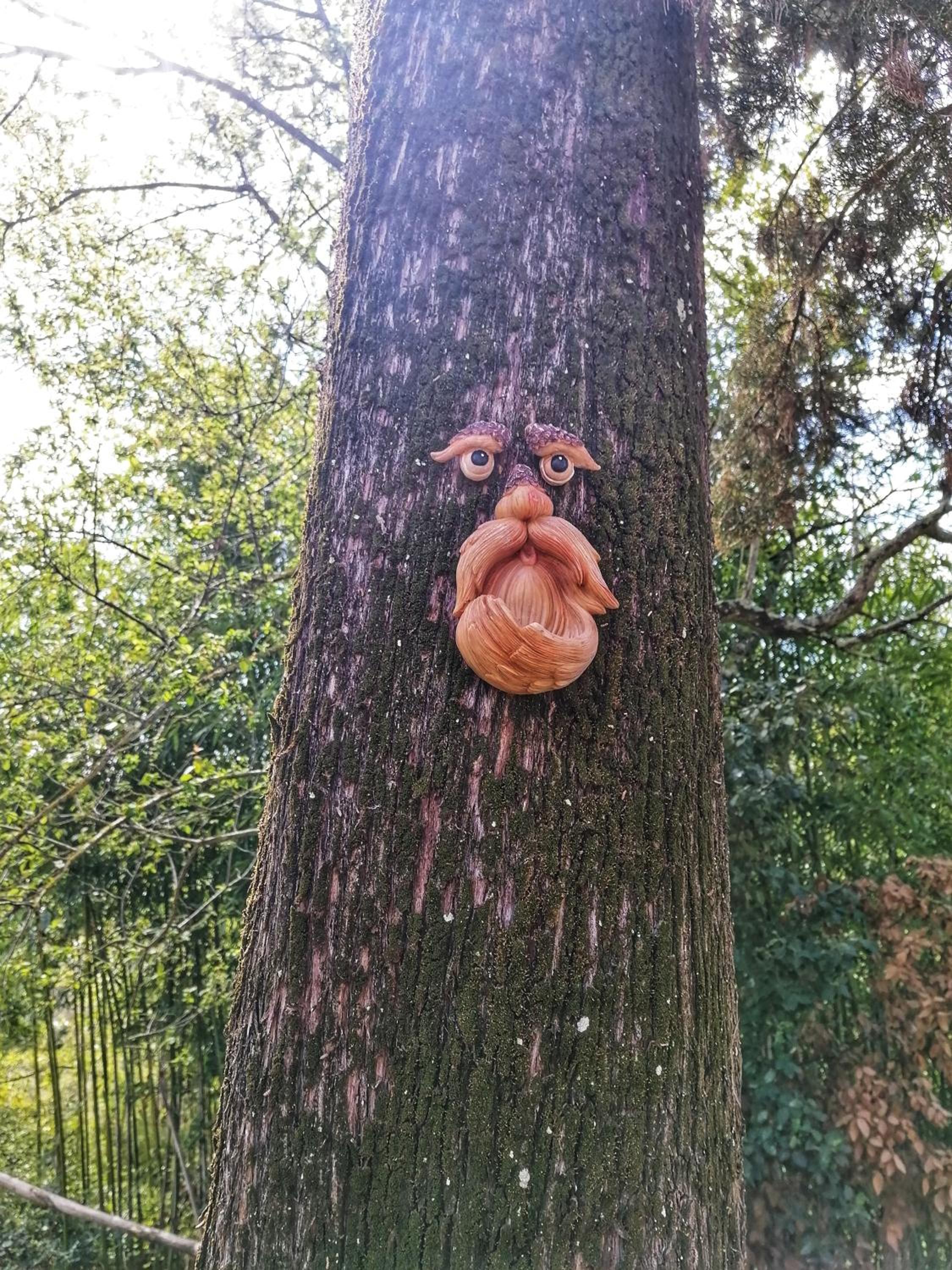 Casa nel bosco il Grottone