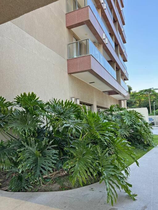 Ideal para quem vai em eventos ou explorar o Rio