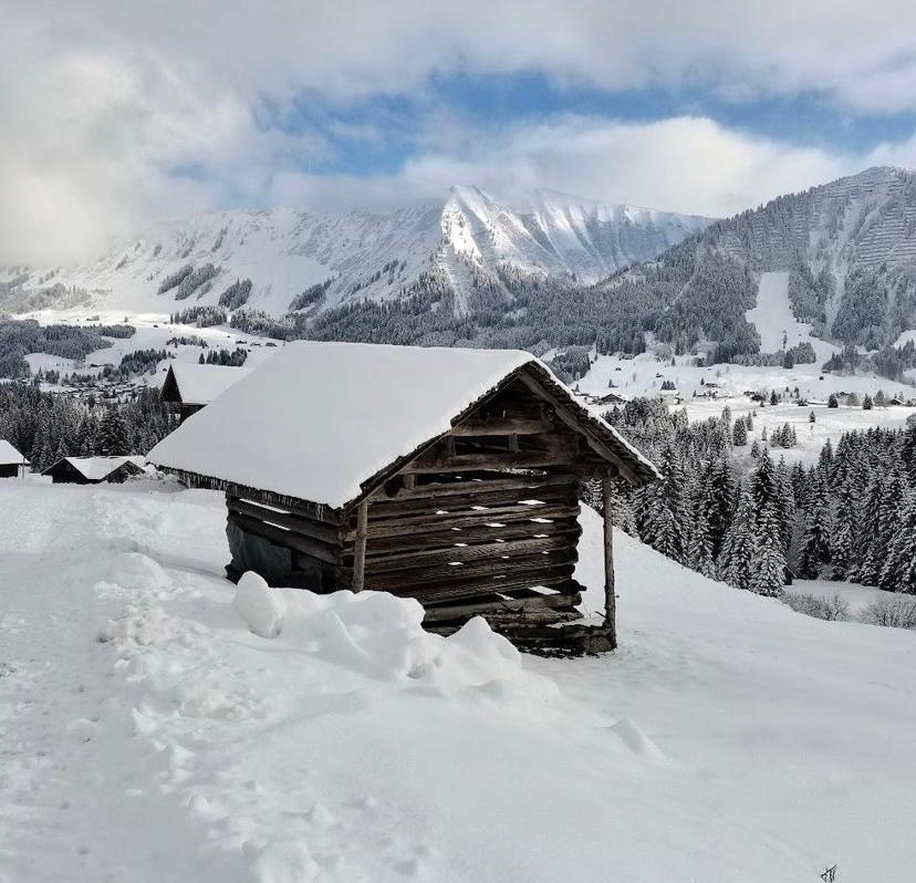 Alpenpension Elferblick