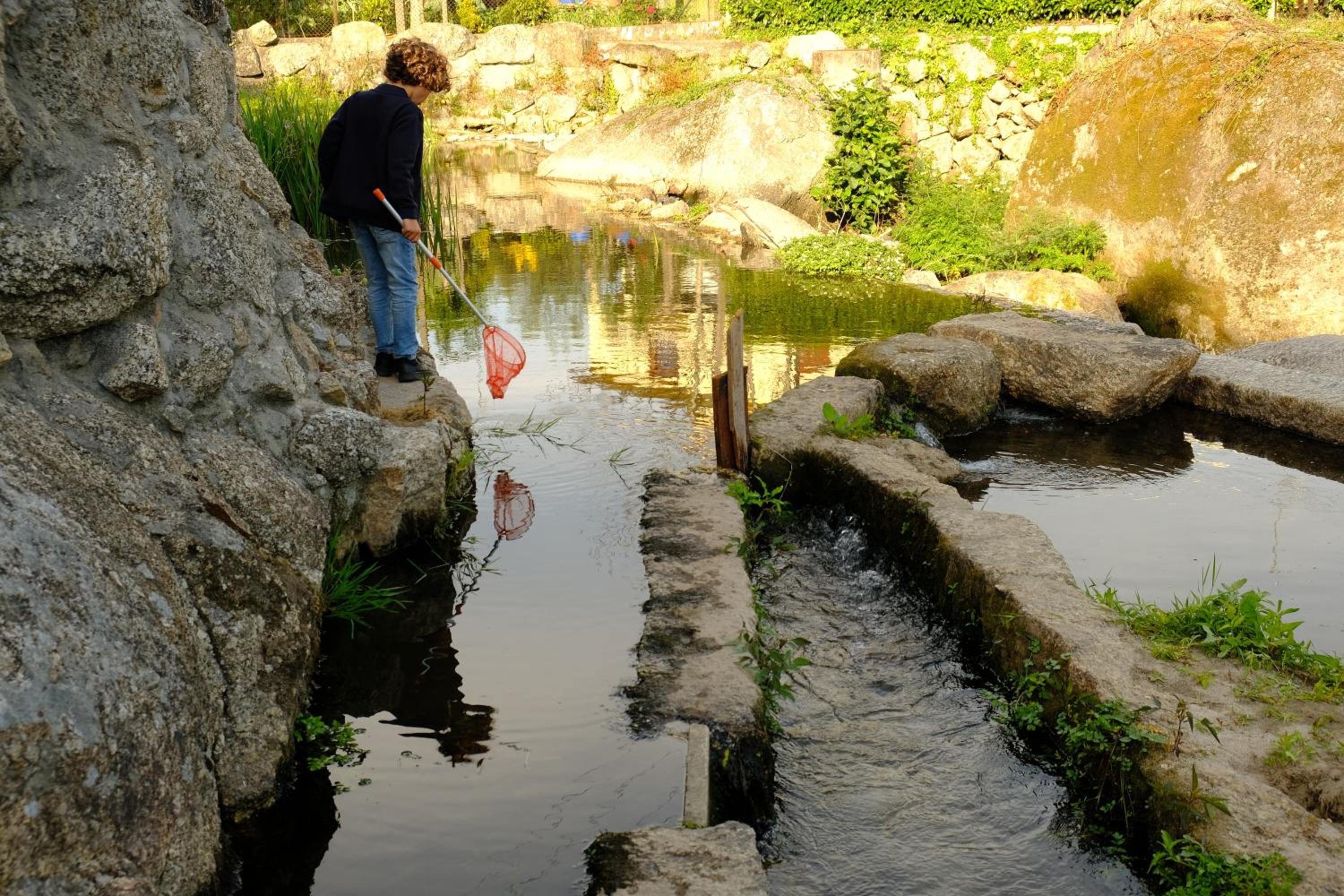 Photo 22