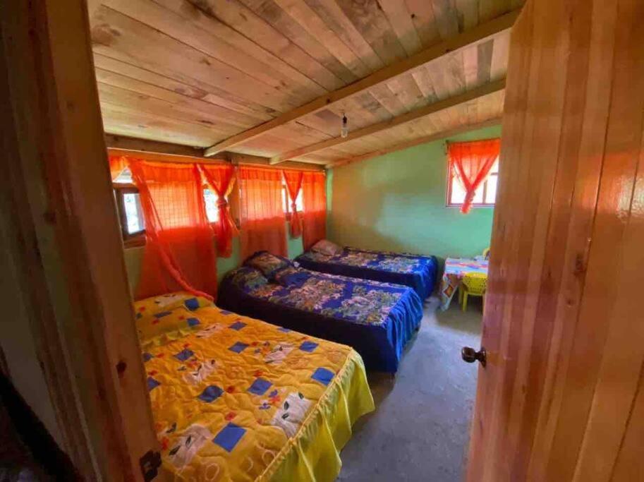 Temazcalli Xiuatl Cabaña Maria Elena view 4