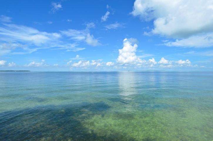 LIttle Bay Lower