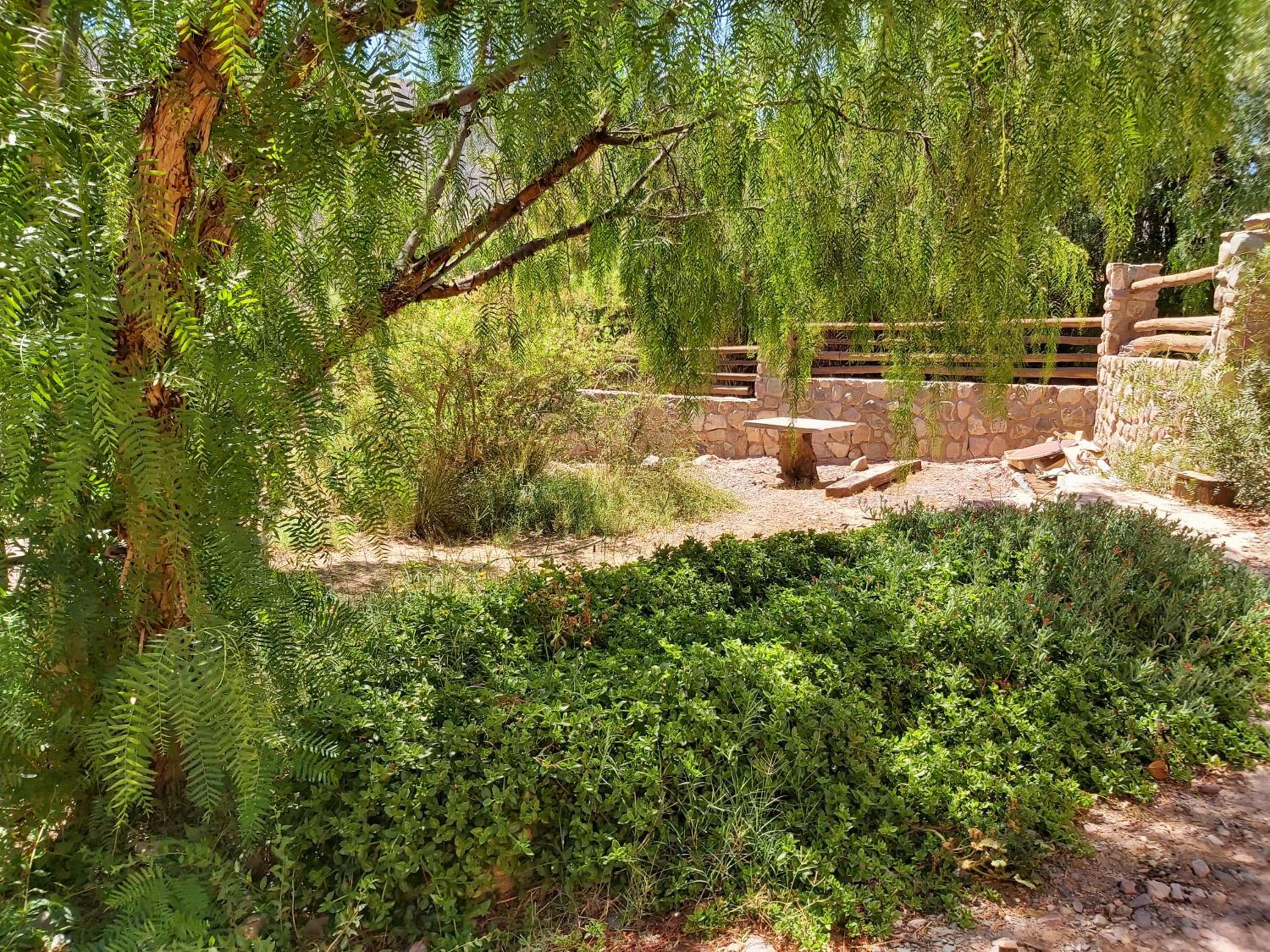Cabaña Lavanda