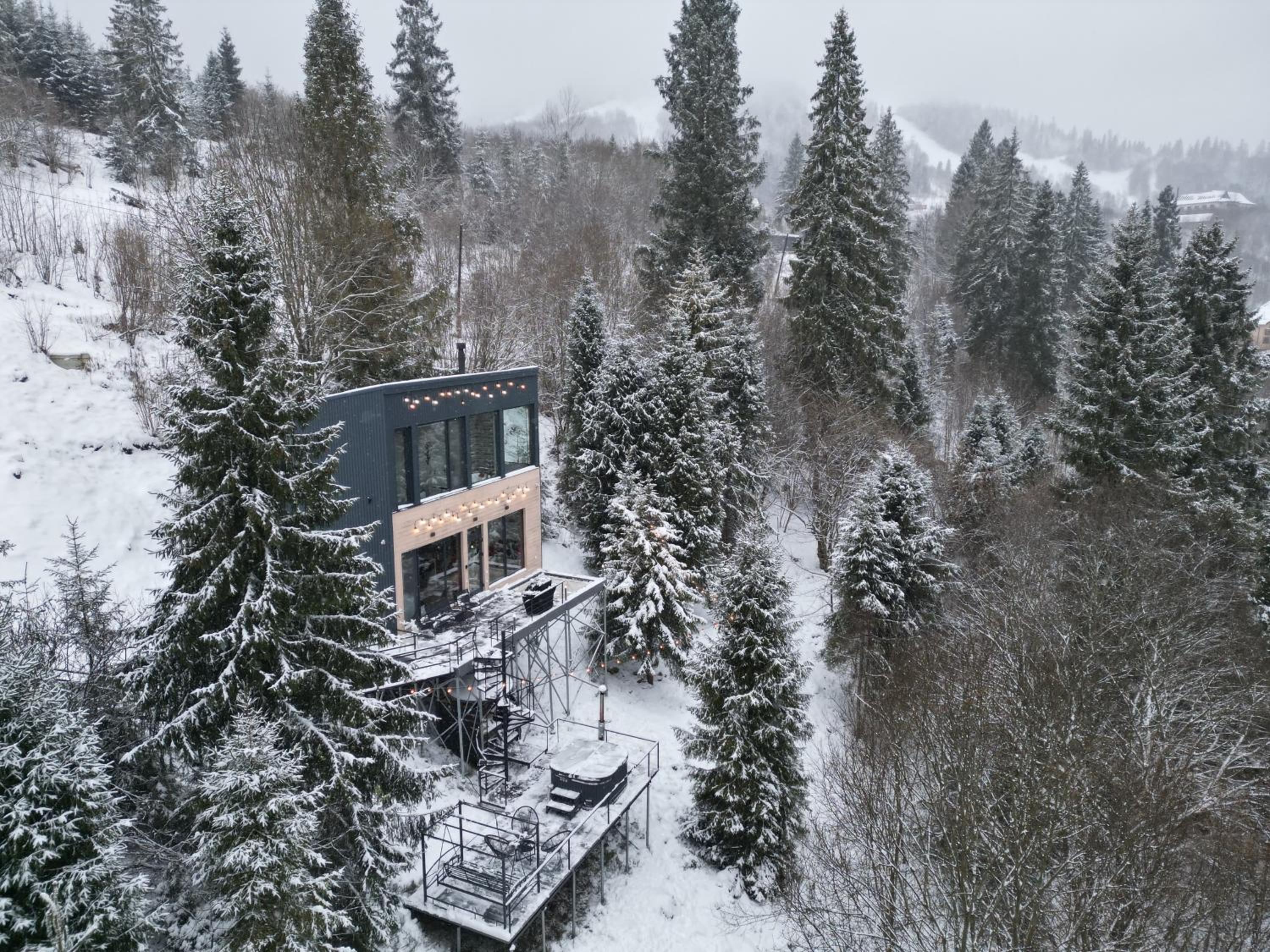 Forest Hub