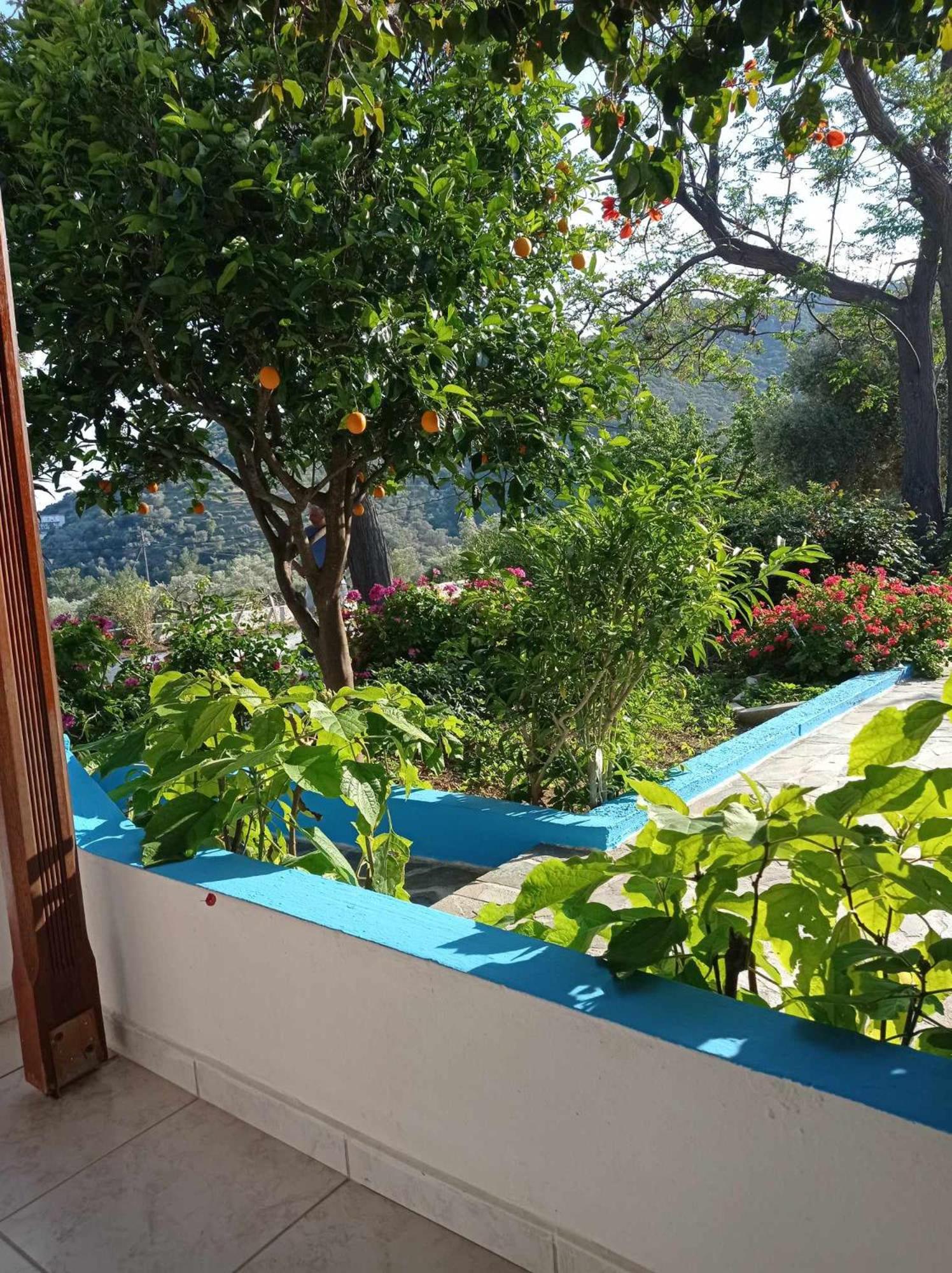 Studios Ioanna Limnionas Samos