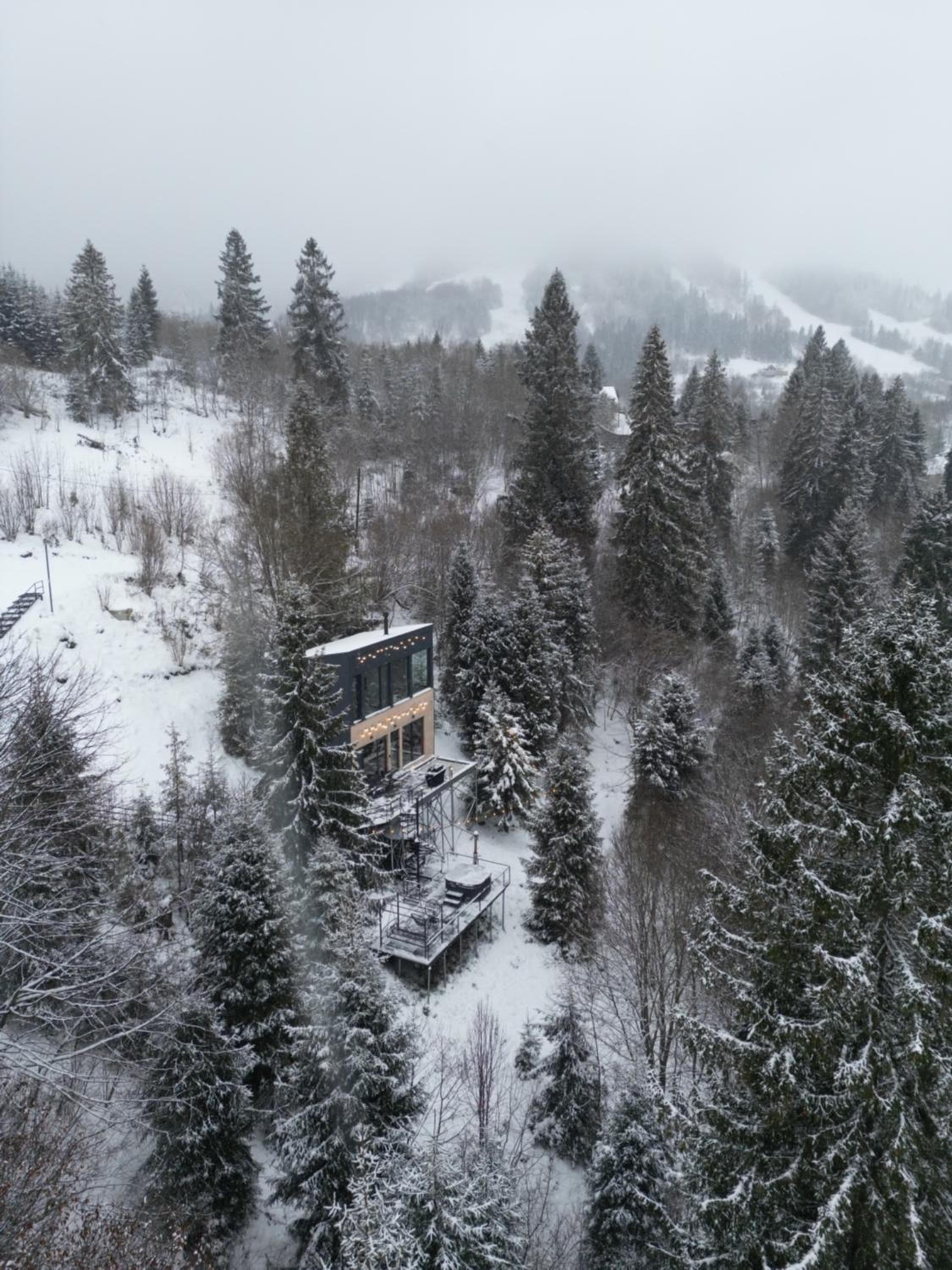 Forest Hub