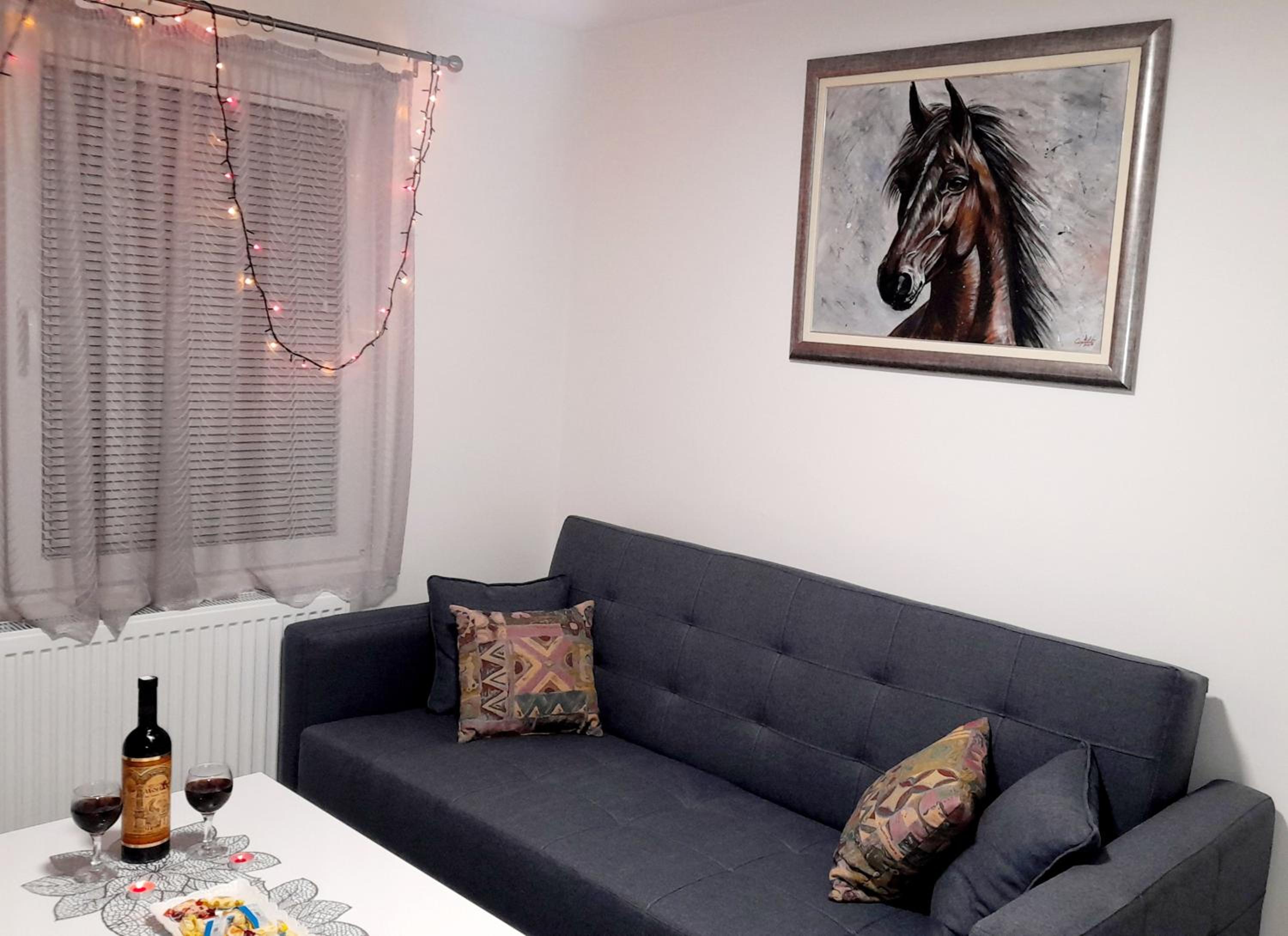 Apartman MiSSS