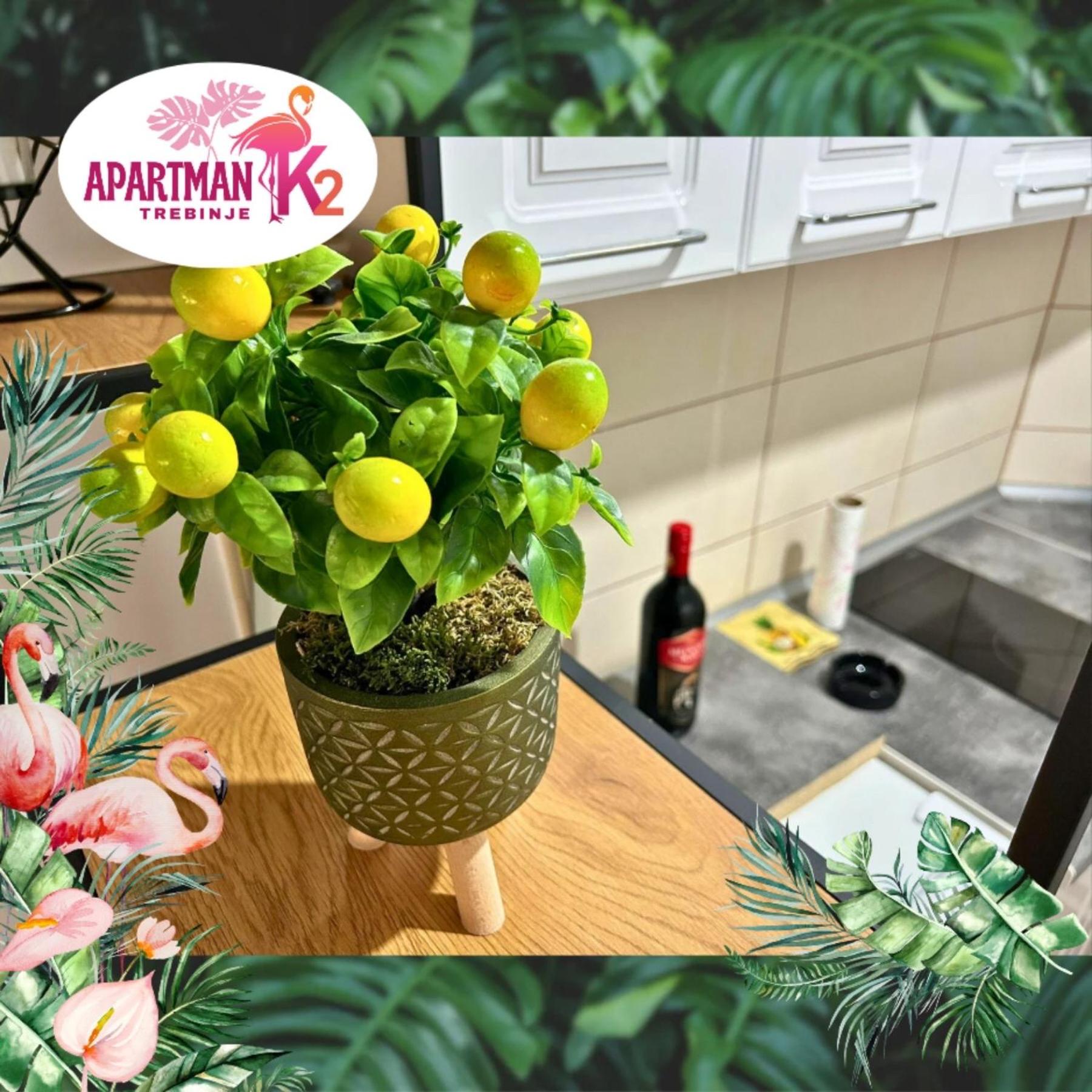Studio Apartman K2
