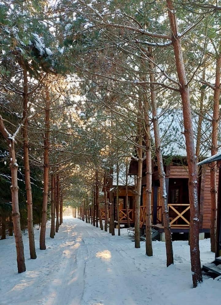 Family Resort view 4