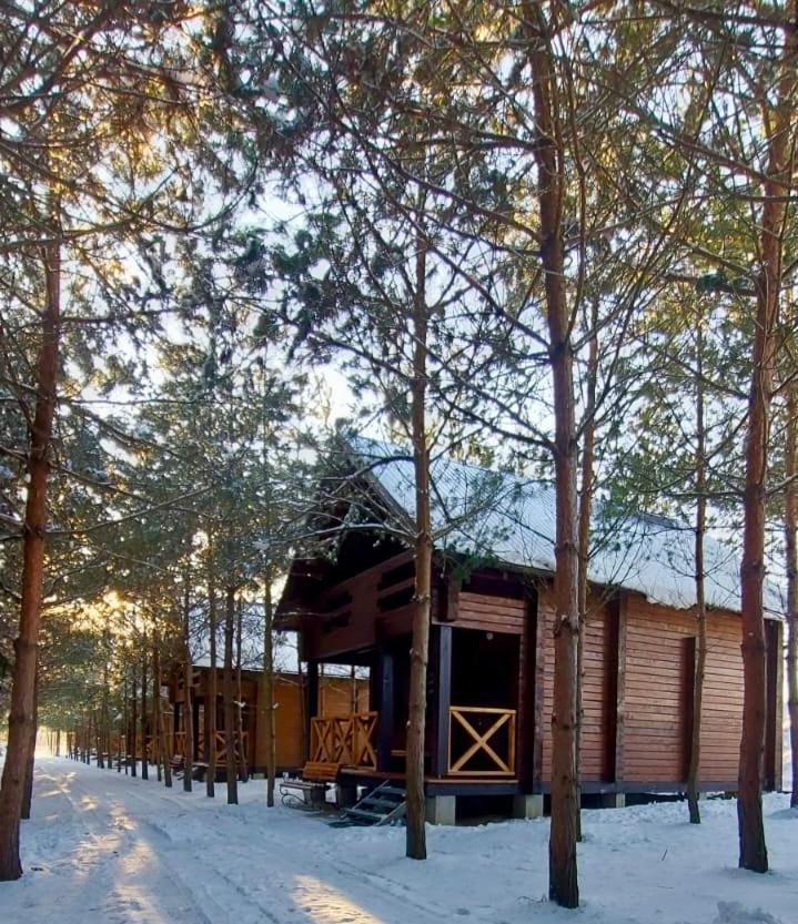 Family Resort view 3