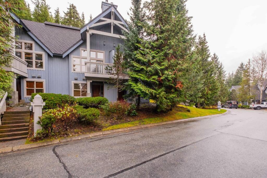 Treeline by Outpost Whistler