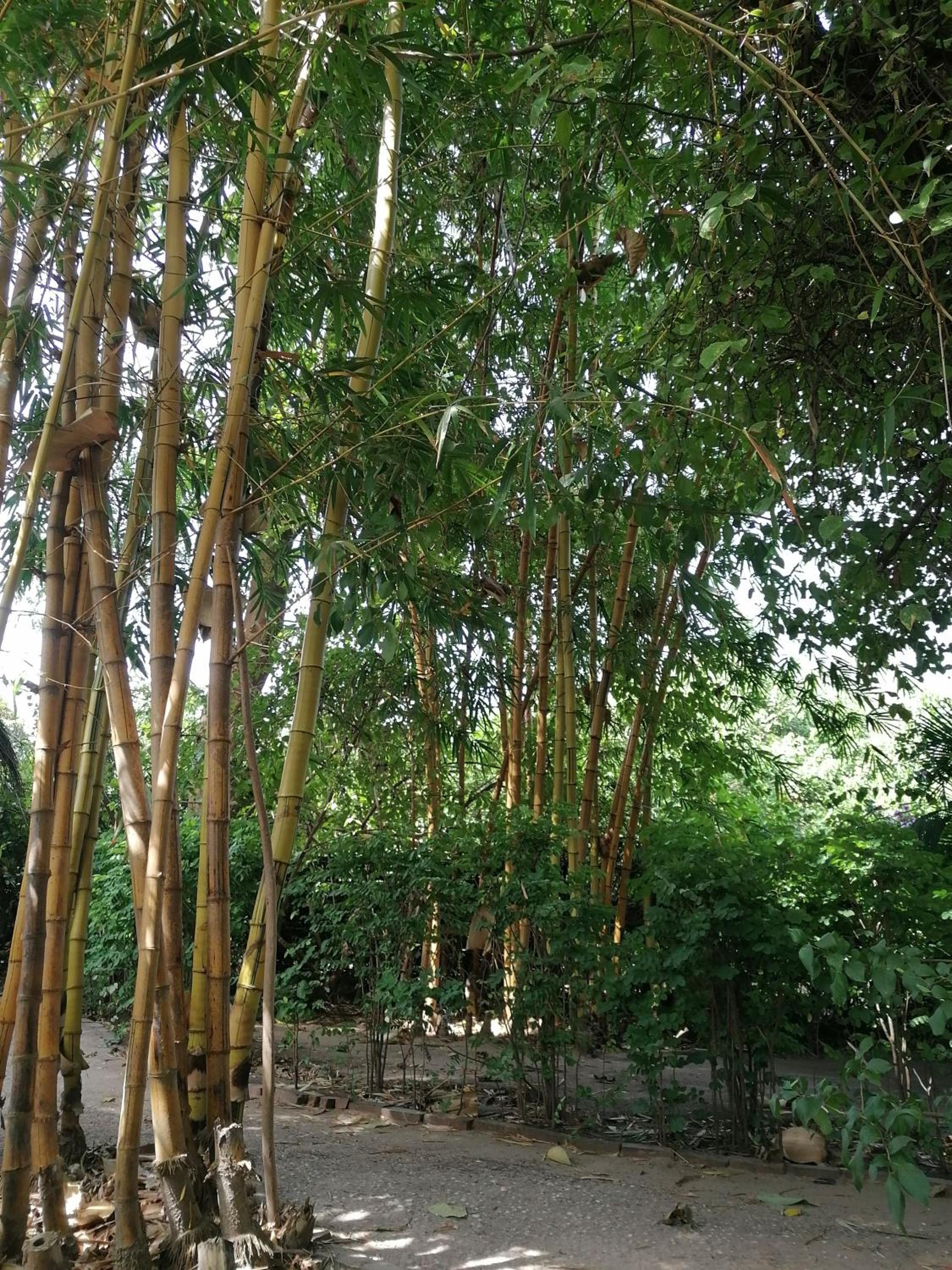 Photo 40