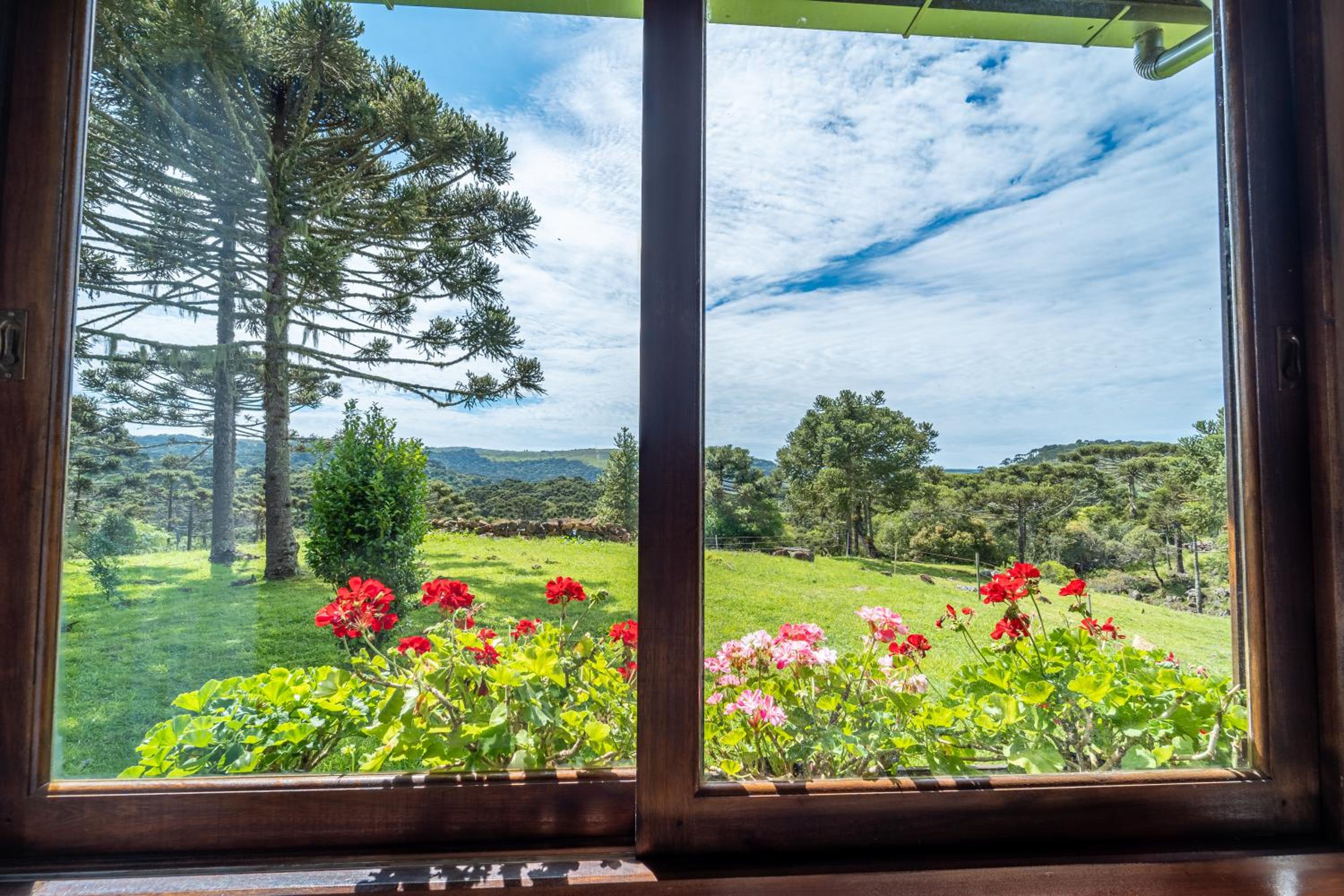 Photo 210