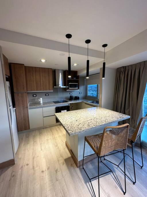 Hermoso Departamento completo en Mendoza