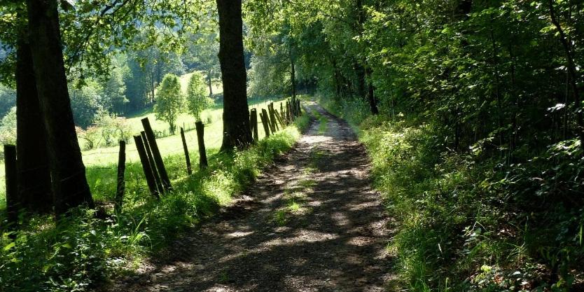 Le val du vieux chêne chambre d'hôtes