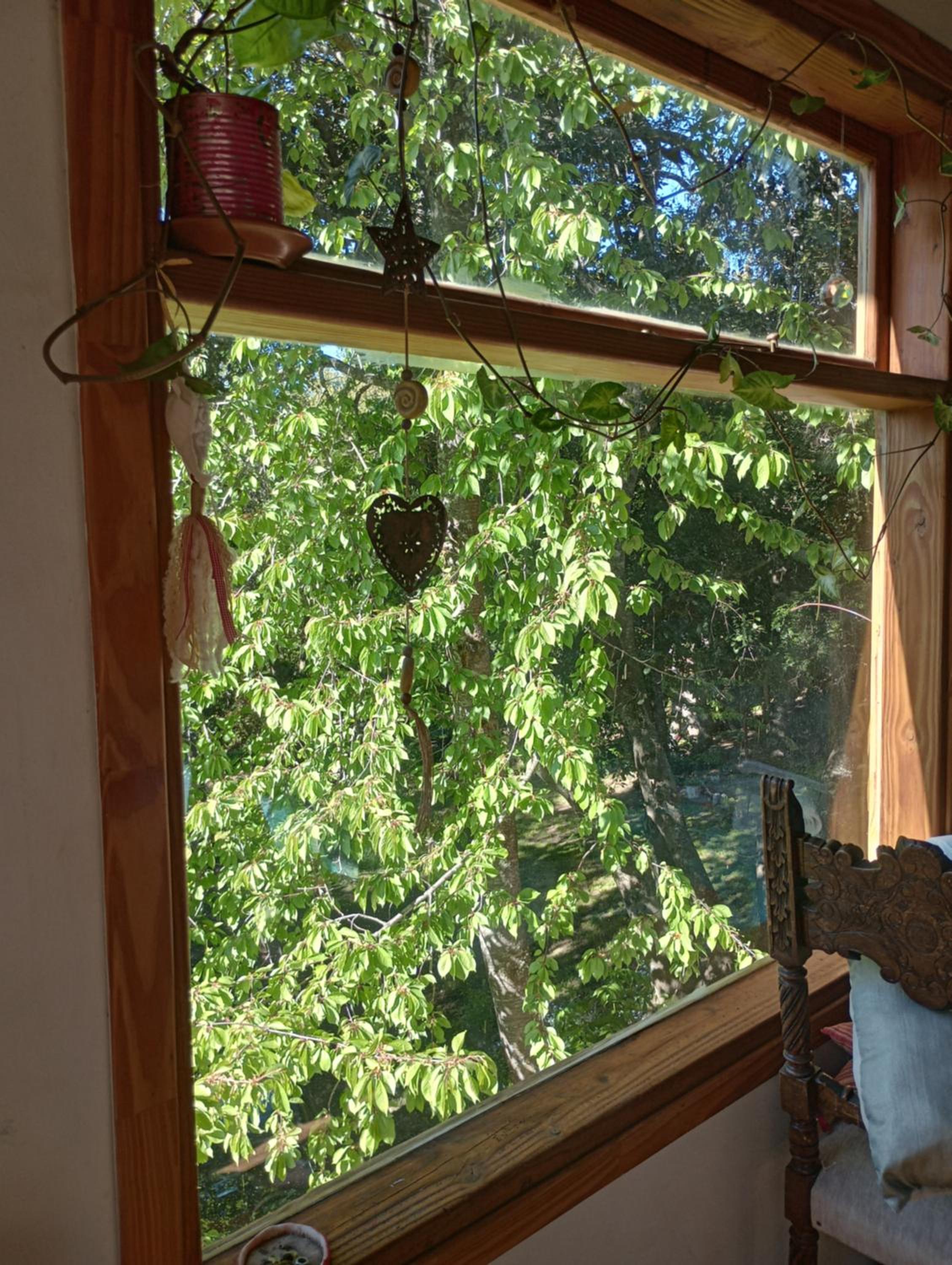Casita en el bosque