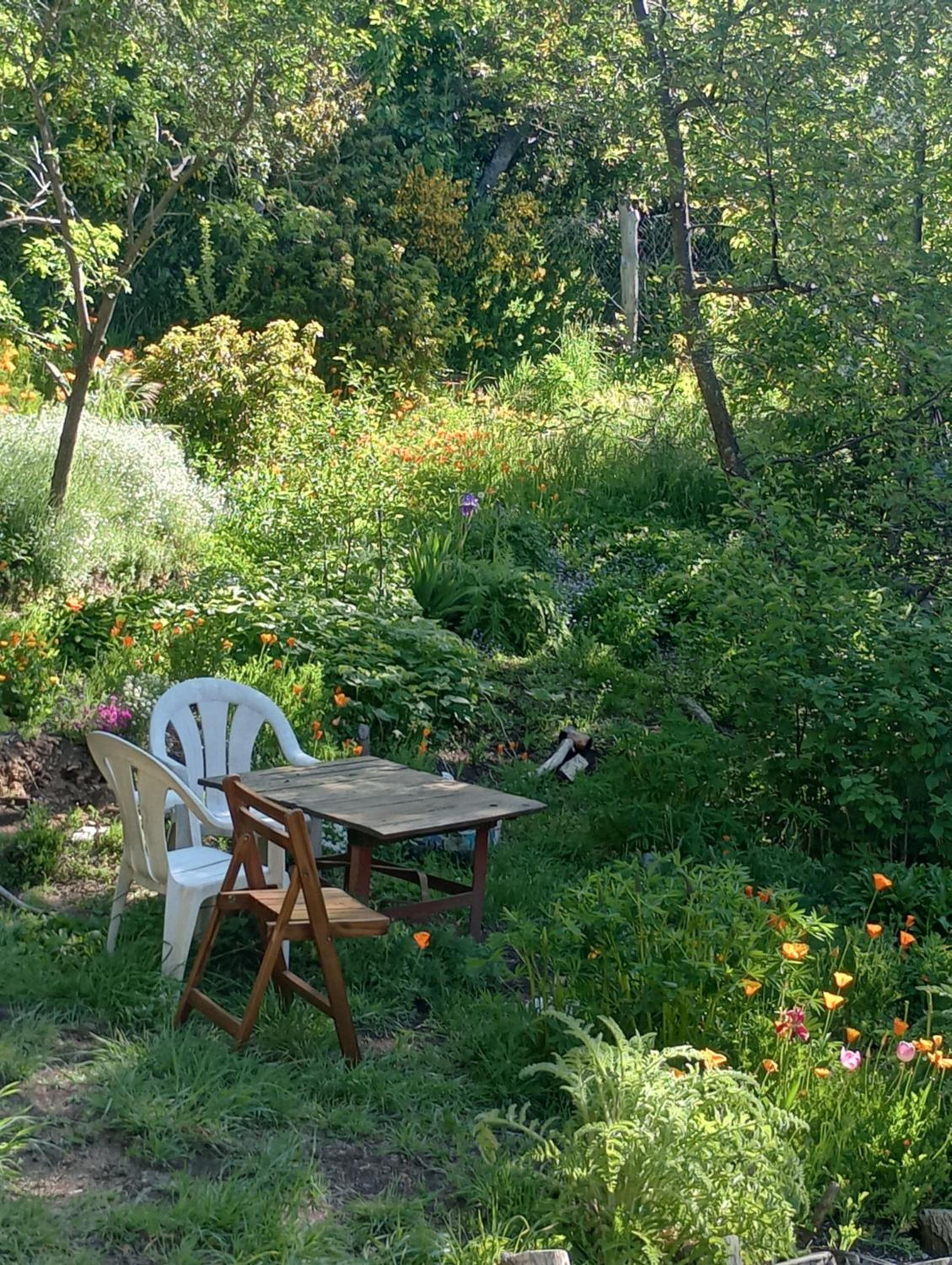 Casita en el bosque