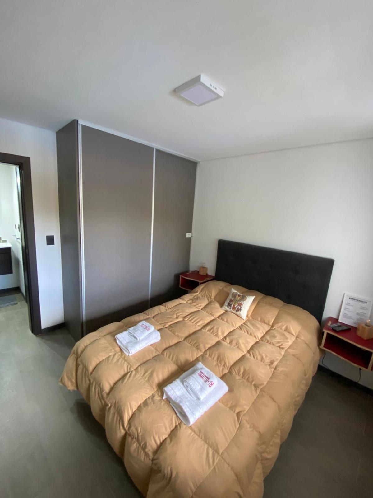 DEPARTAMENTO ZONA CENTRO R. ROCA