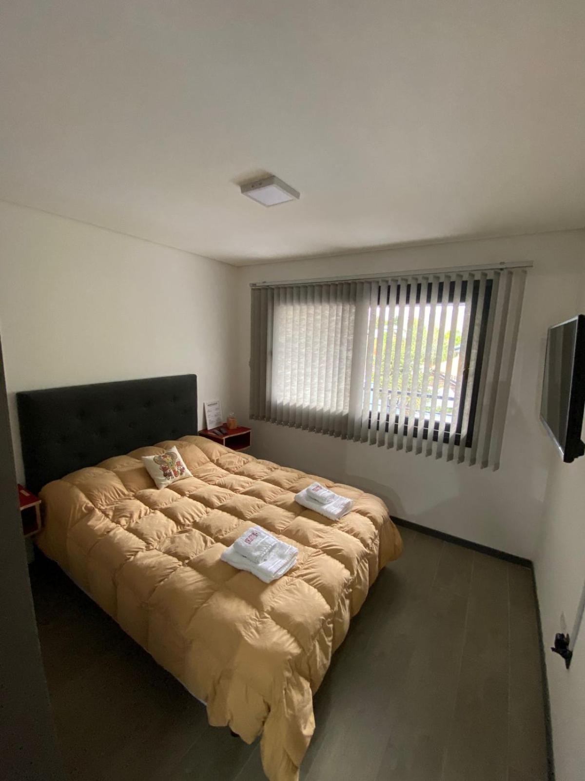 DEPARTAMENTO ZONA CENTRO R. ROCA