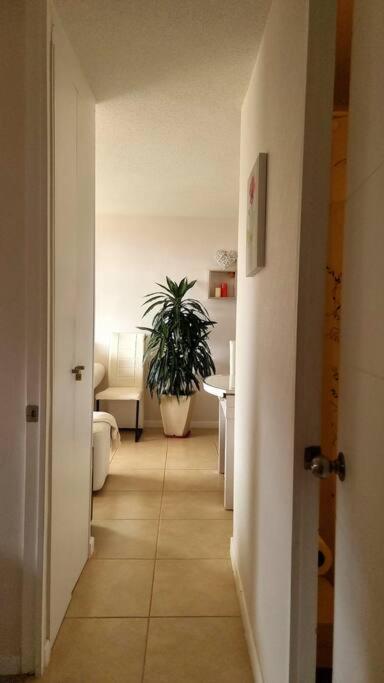 Deptomar307 Condominio Miramar El Tabito