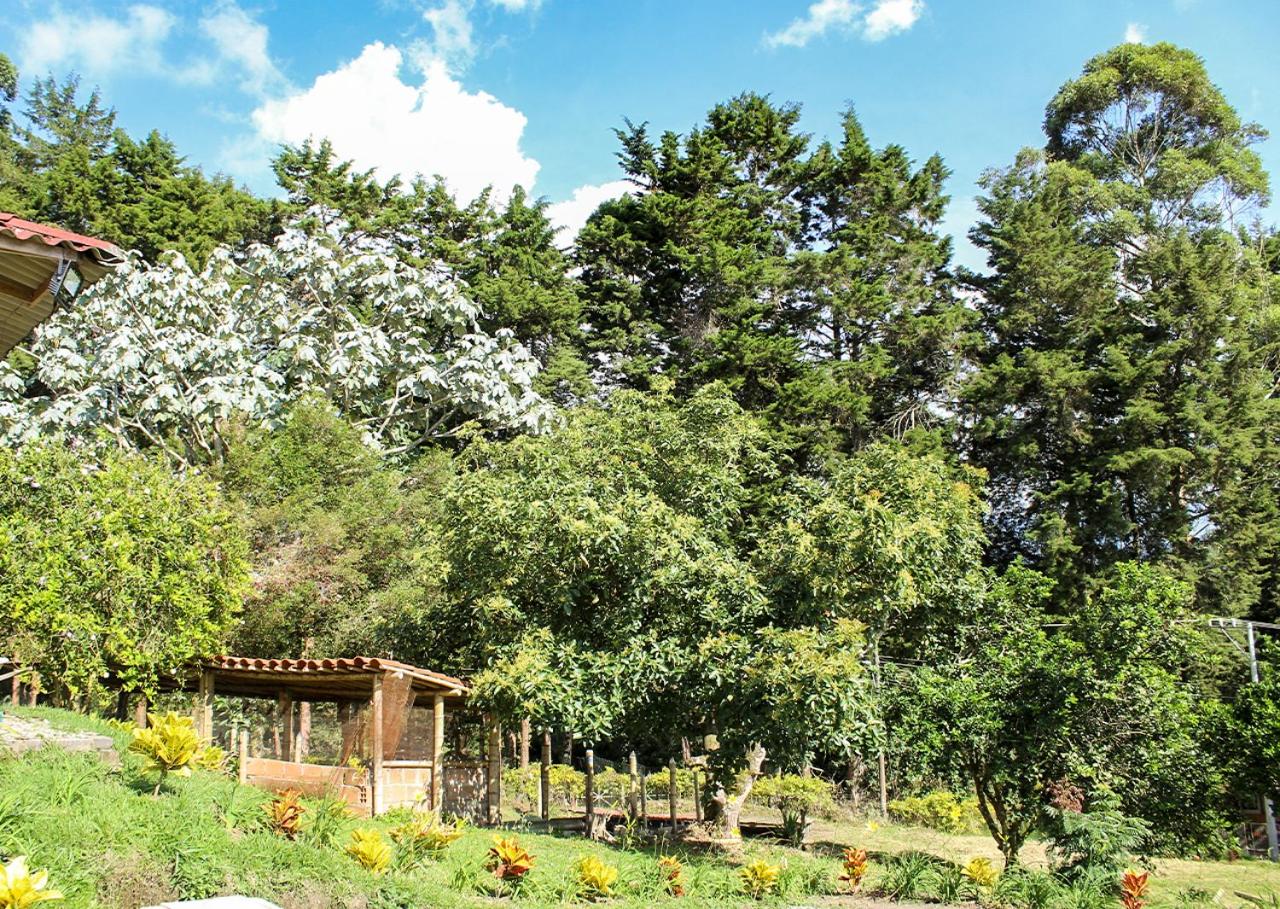 Hospedaje Santa Ana