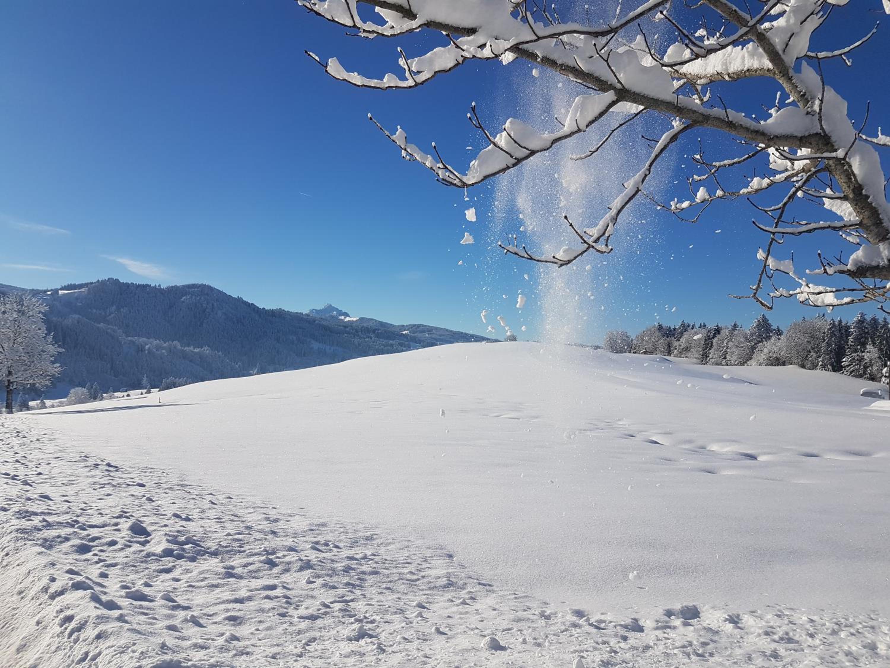4-Sterne Tiny House & erholsame Ruhe und ganz viel Natur im Oberallgäu