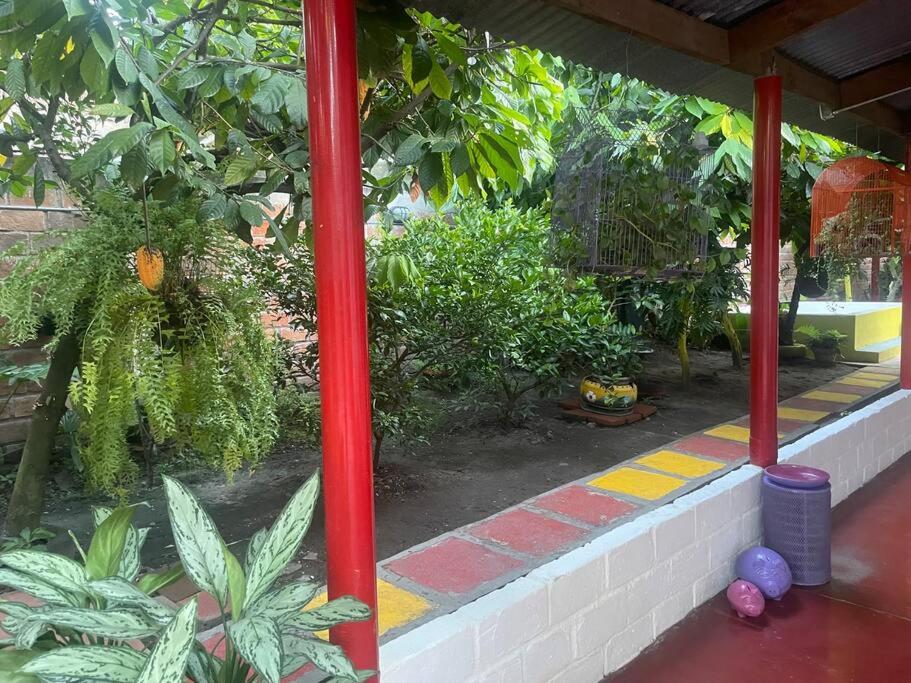La Casa de Mónyk de la P En la jagua Huila
