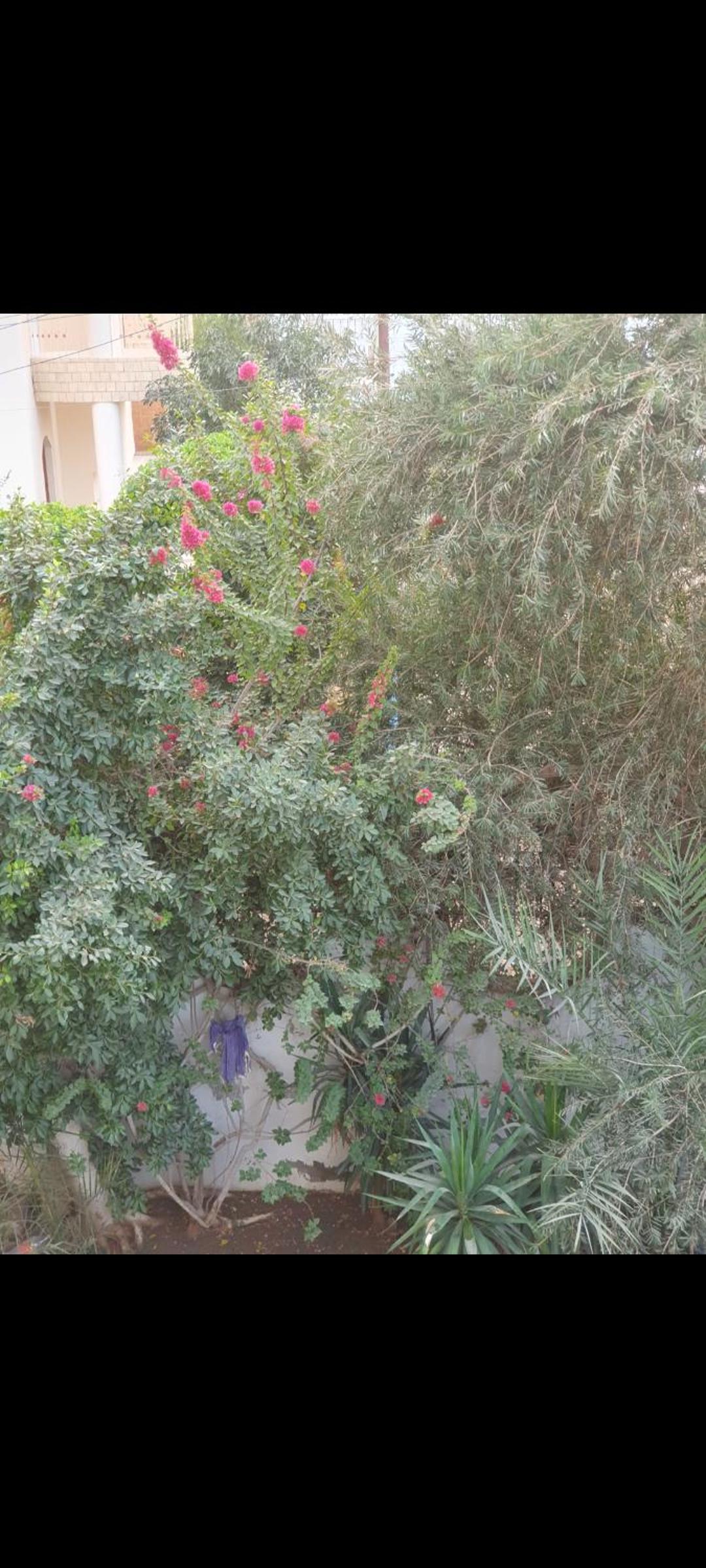 Soliman Villa