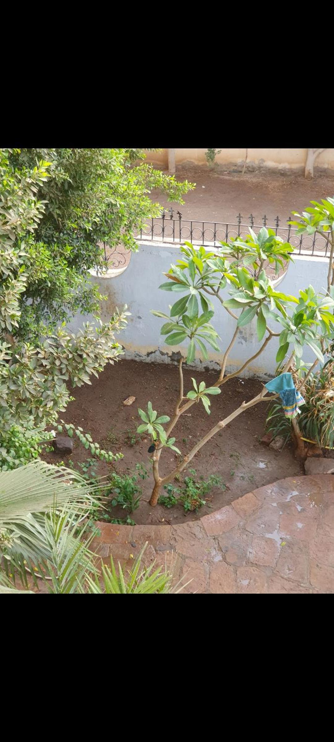 Soliman Villa
