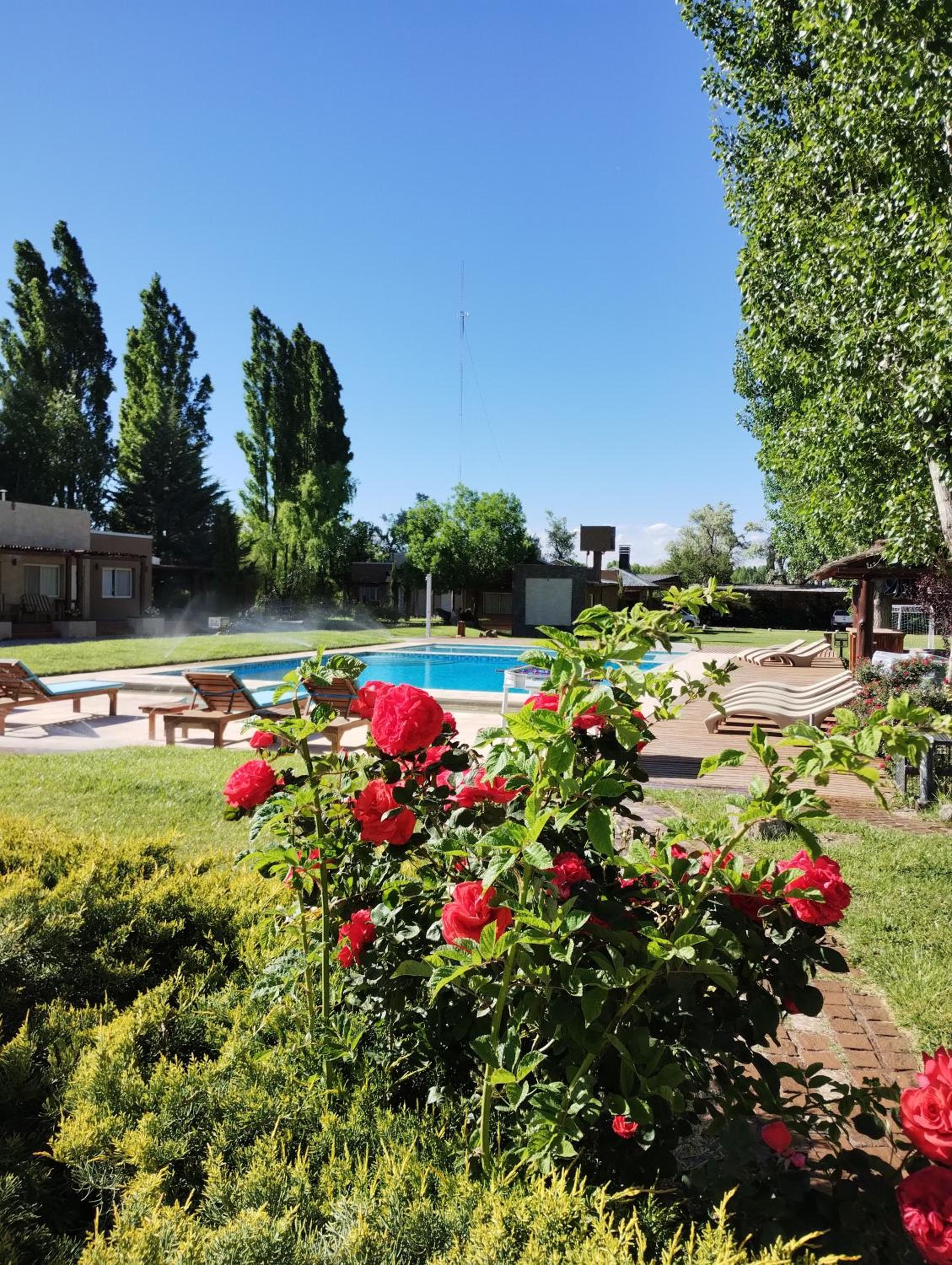 Cabañas Amalar