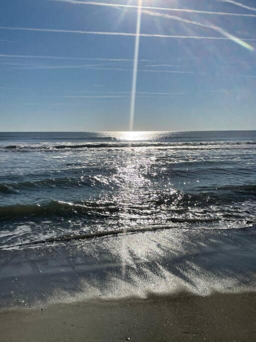 Living the Dream on the beach! view 5