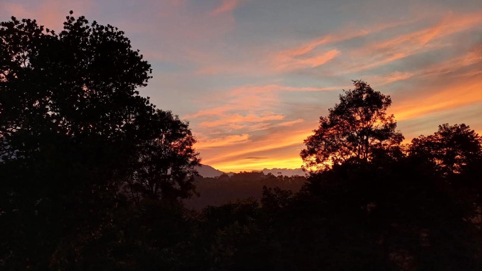 3R Residency Anachal Munnar view 5