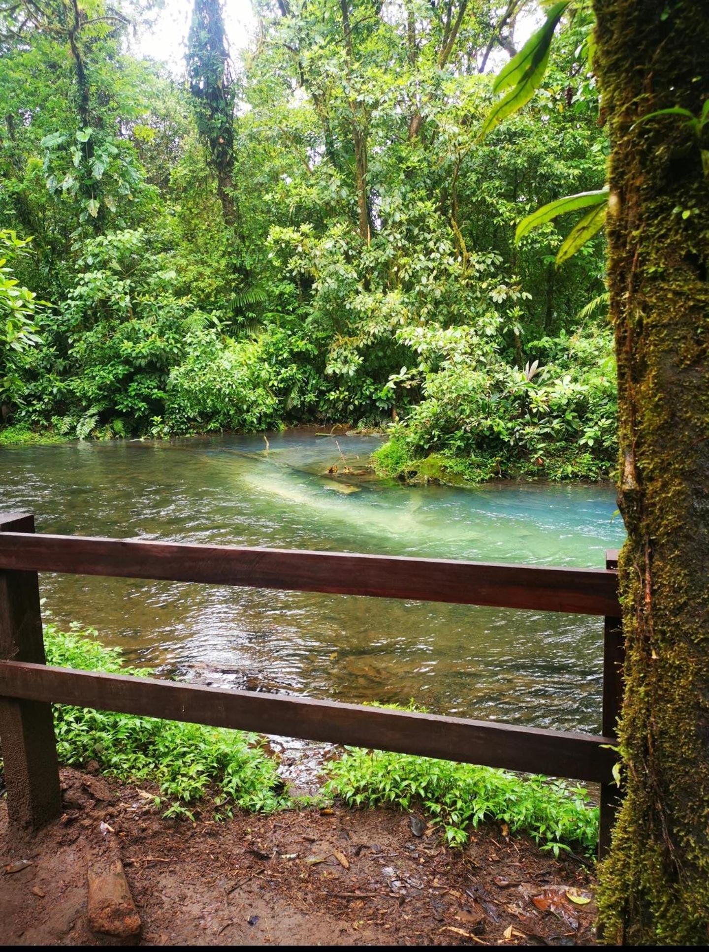 My Country House Paradise, Rio Celeste!
