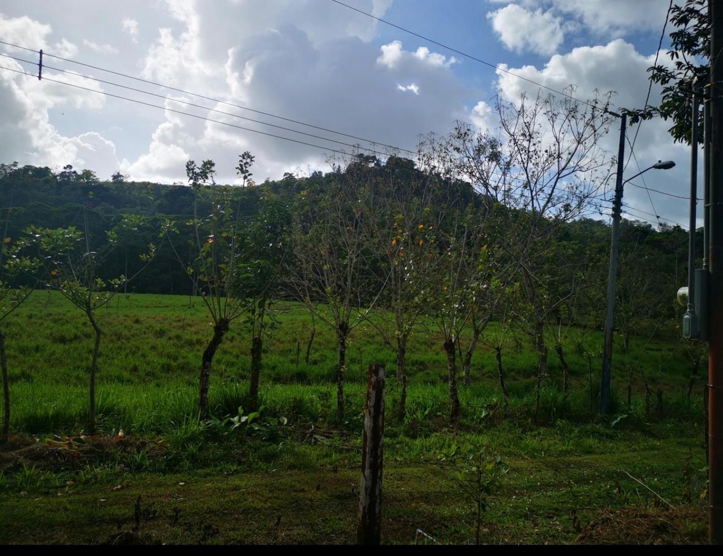My Country House Paradise, Rio Celeste!